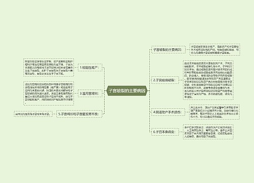 子宫破裂的主要病因