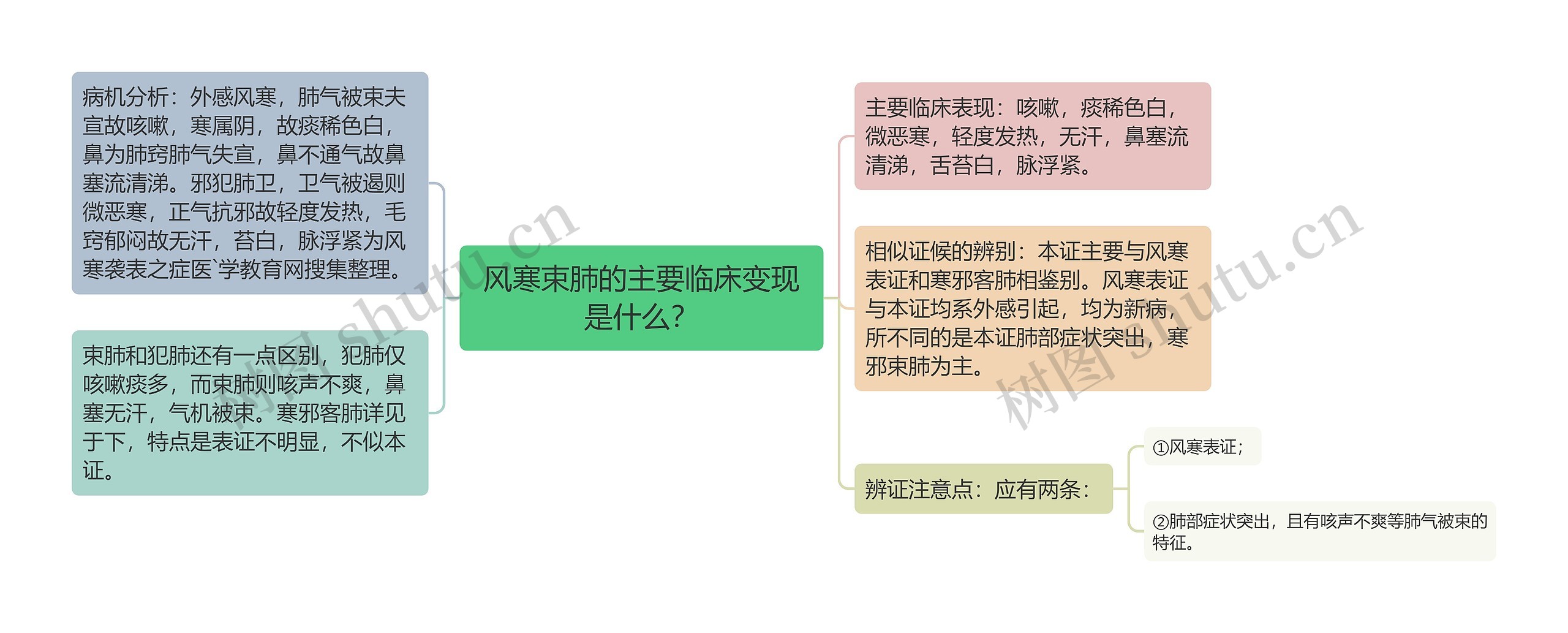 风寒束肺的主要临床变现是什么？思维导图