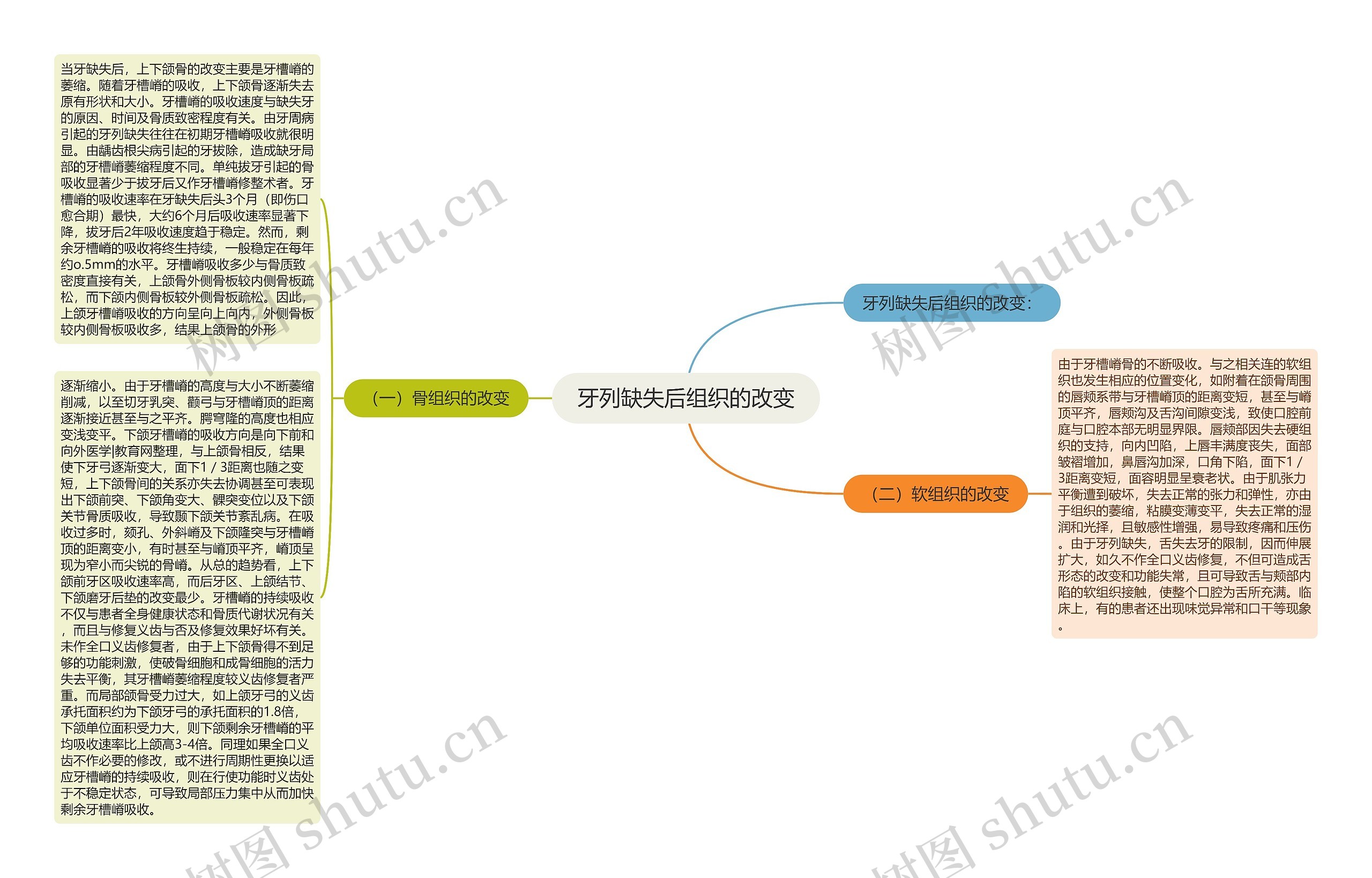 牙列缺失后组织的改变