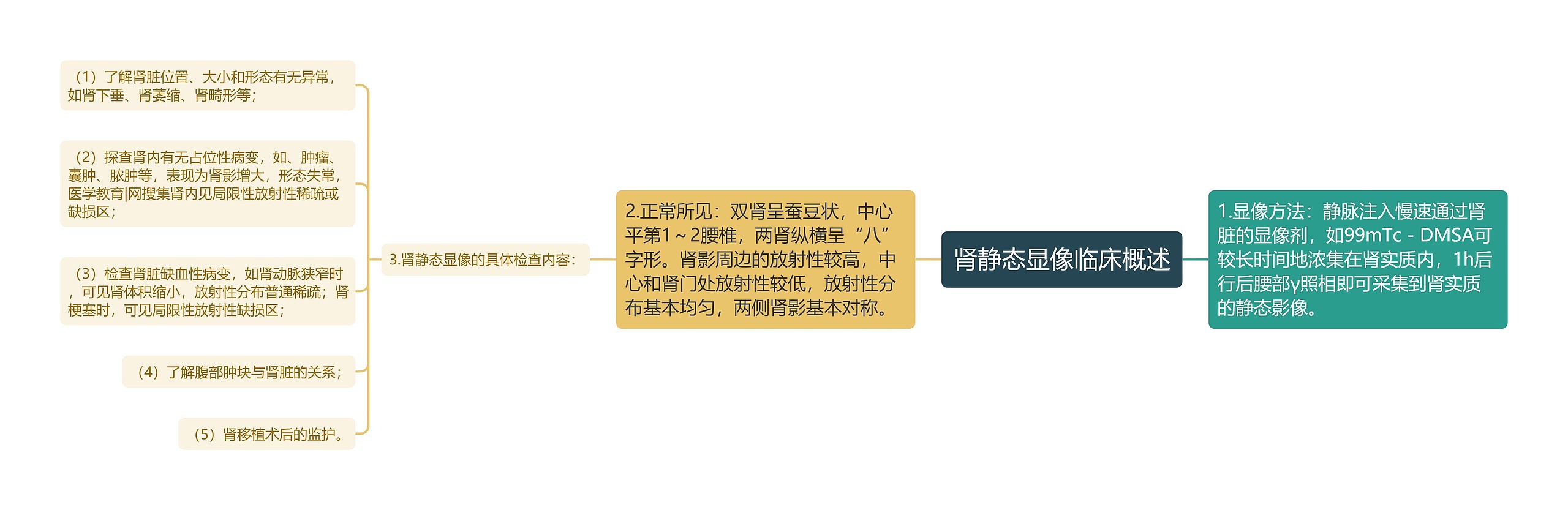 肾静态显像临床概述 肾静态显像临床概述
