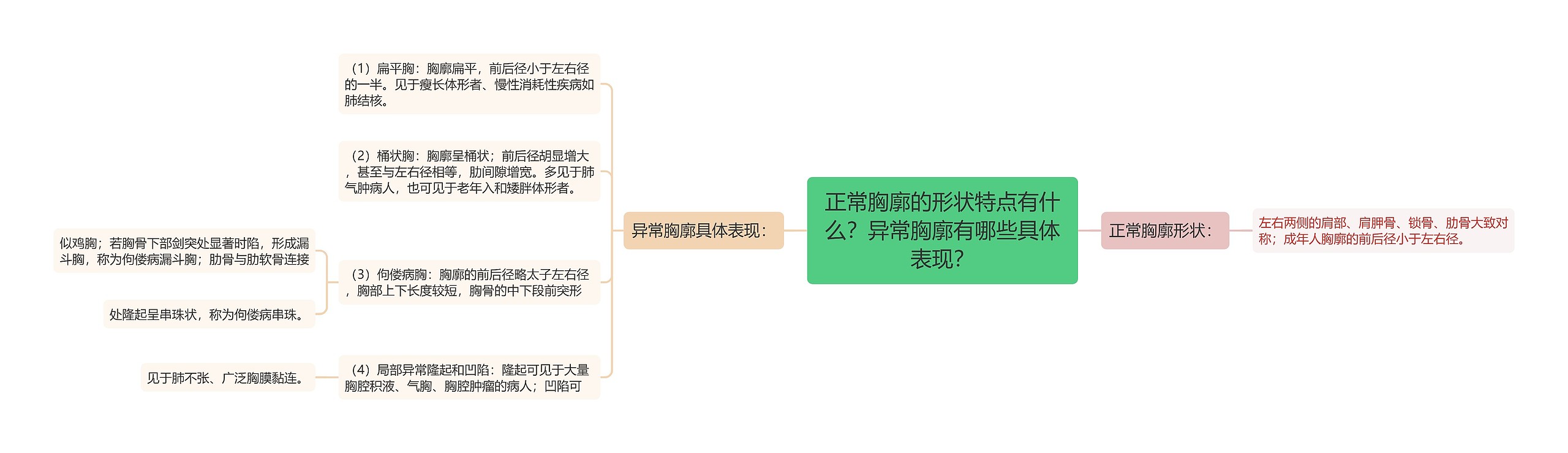 正常胸廓的形状特点有什么?异常胸廓有哪些具体表现? 正常胸廓的形状特点有什么?异常胸廓有哪些具体表现?