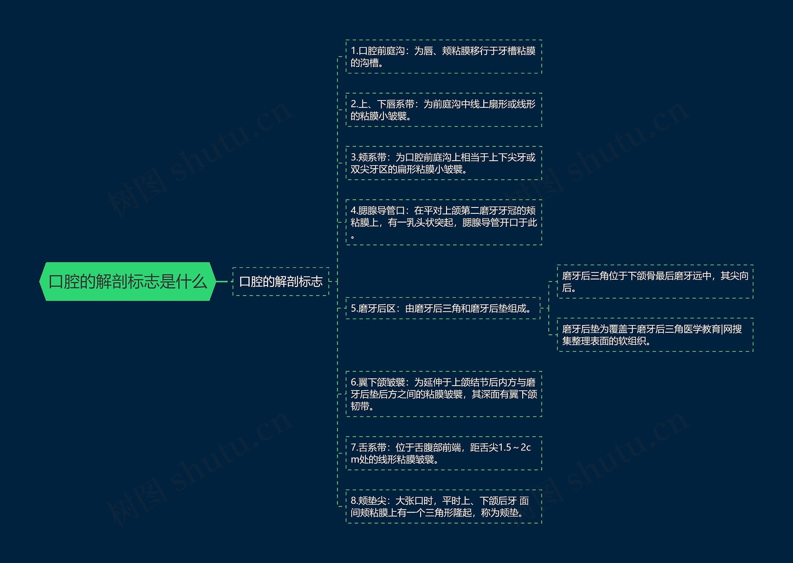 口腔的解剖标志是什么思维导图