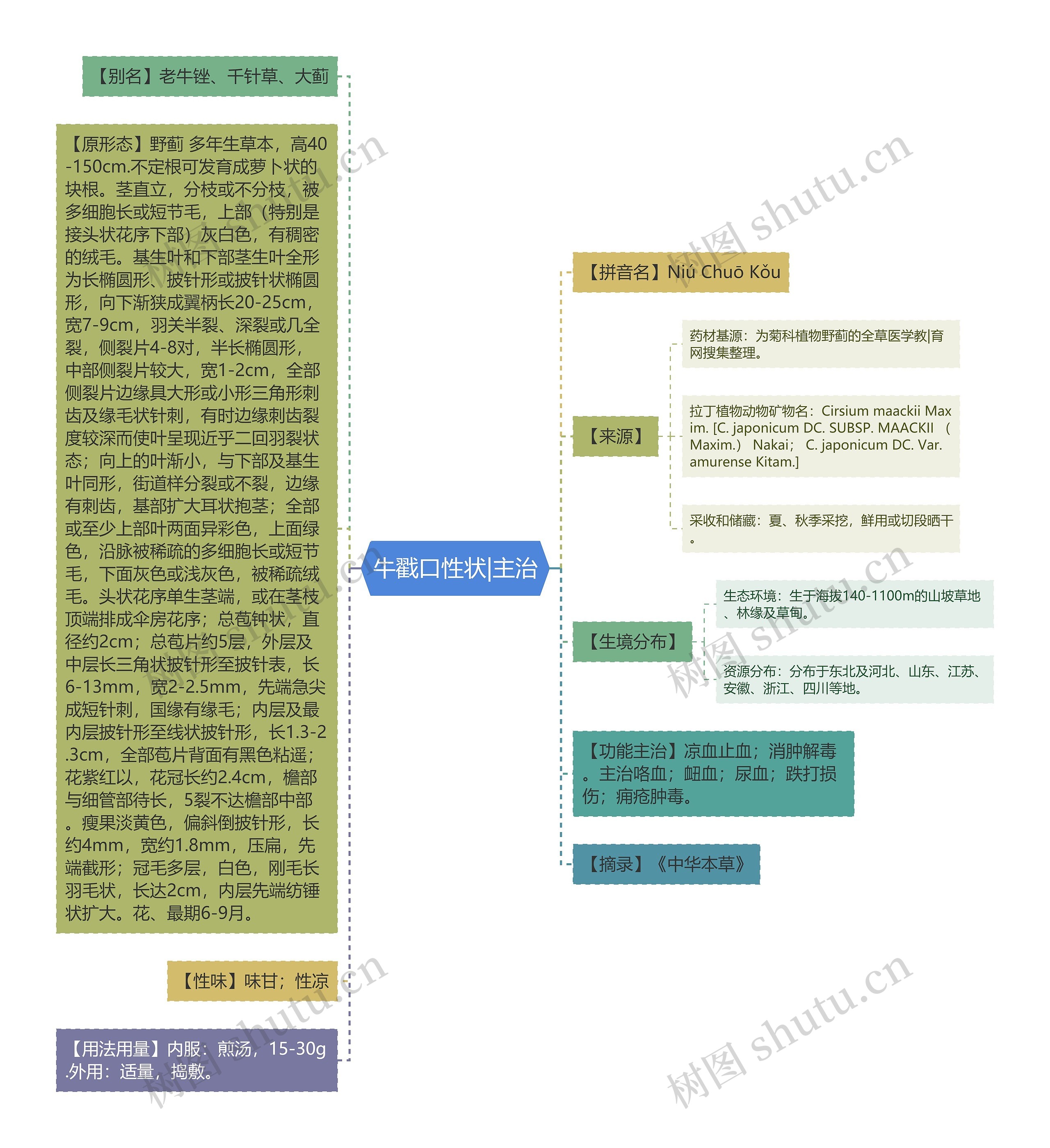 牛戳口性状|主治思维导图