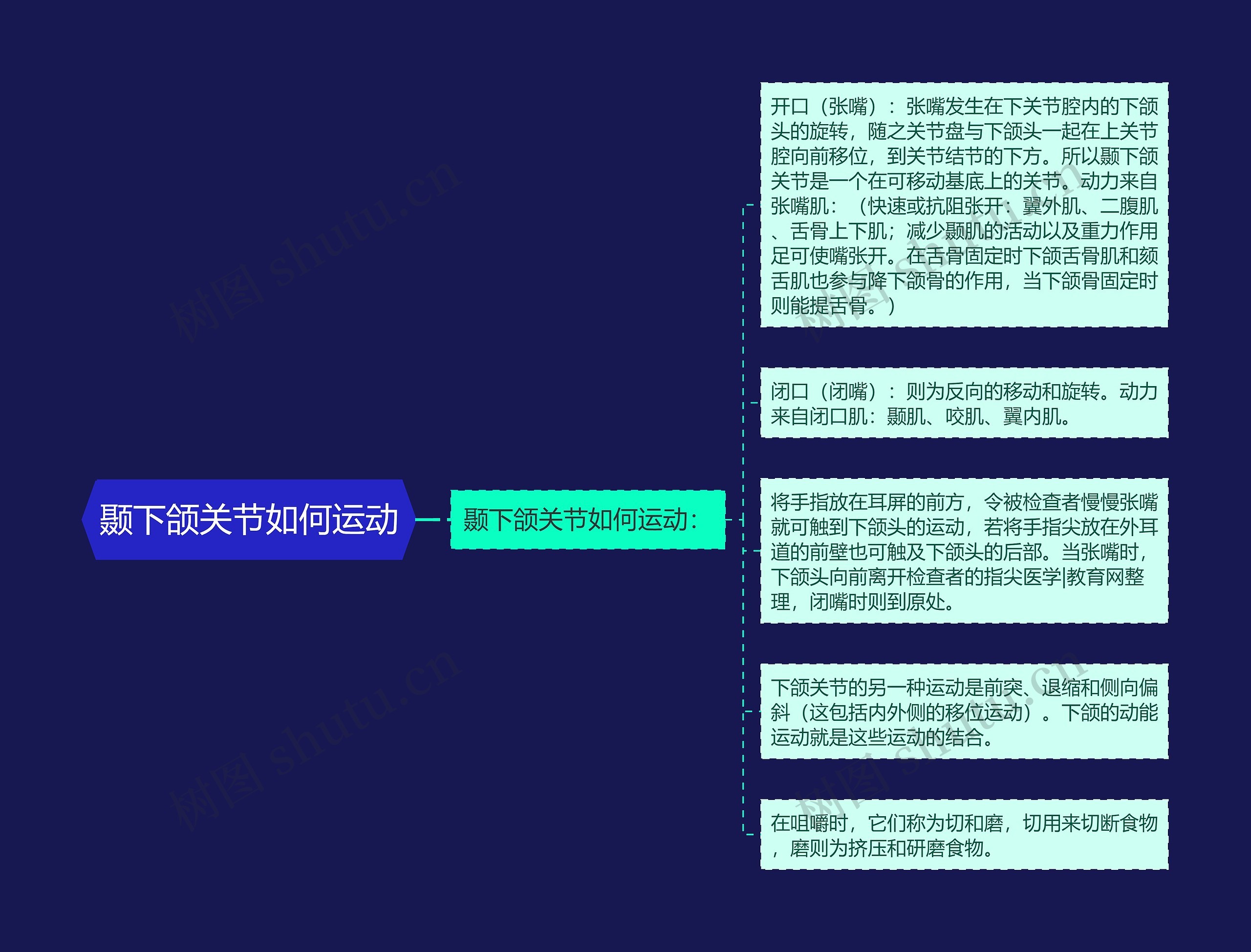 颞下颌关节如何运动