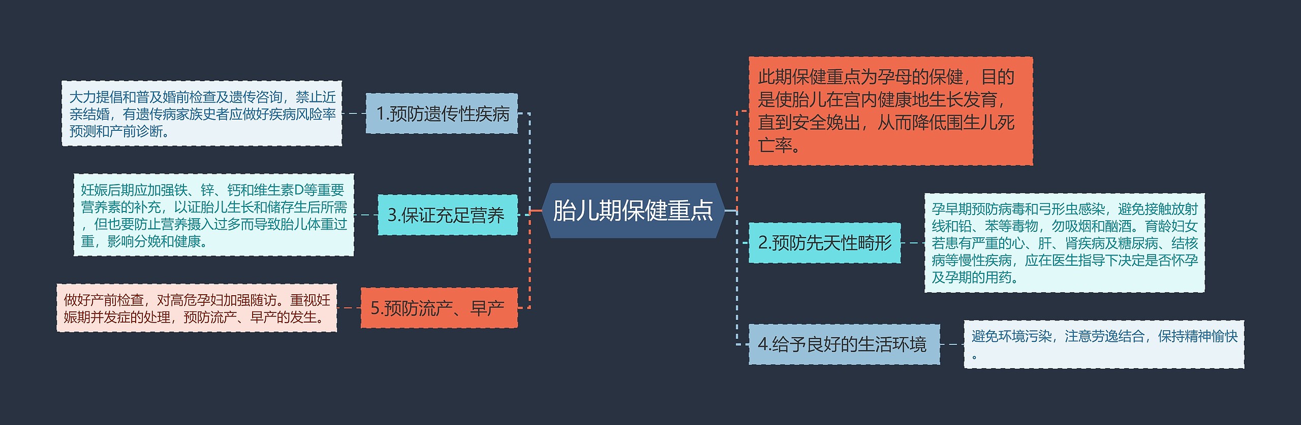 胎儿期保健重点思维导图