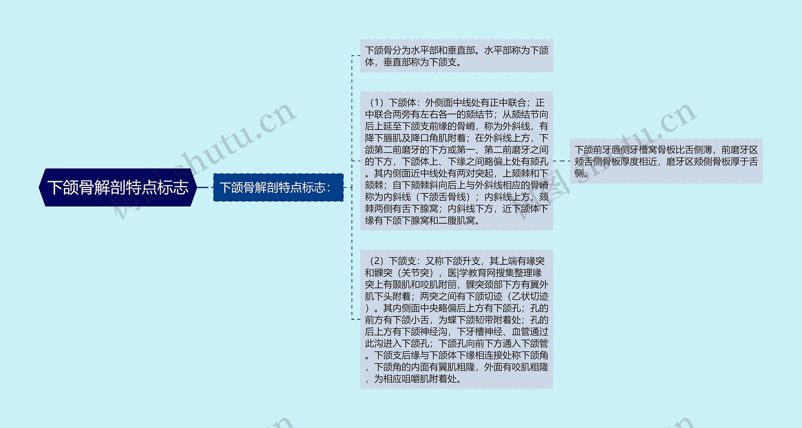 下颌骨解剖特点标志思维导图