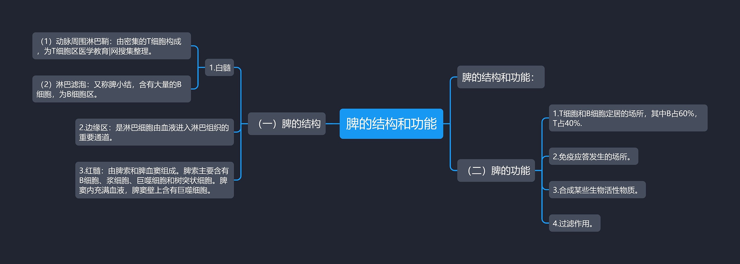 脾的结构和功能 脾的结构和功能