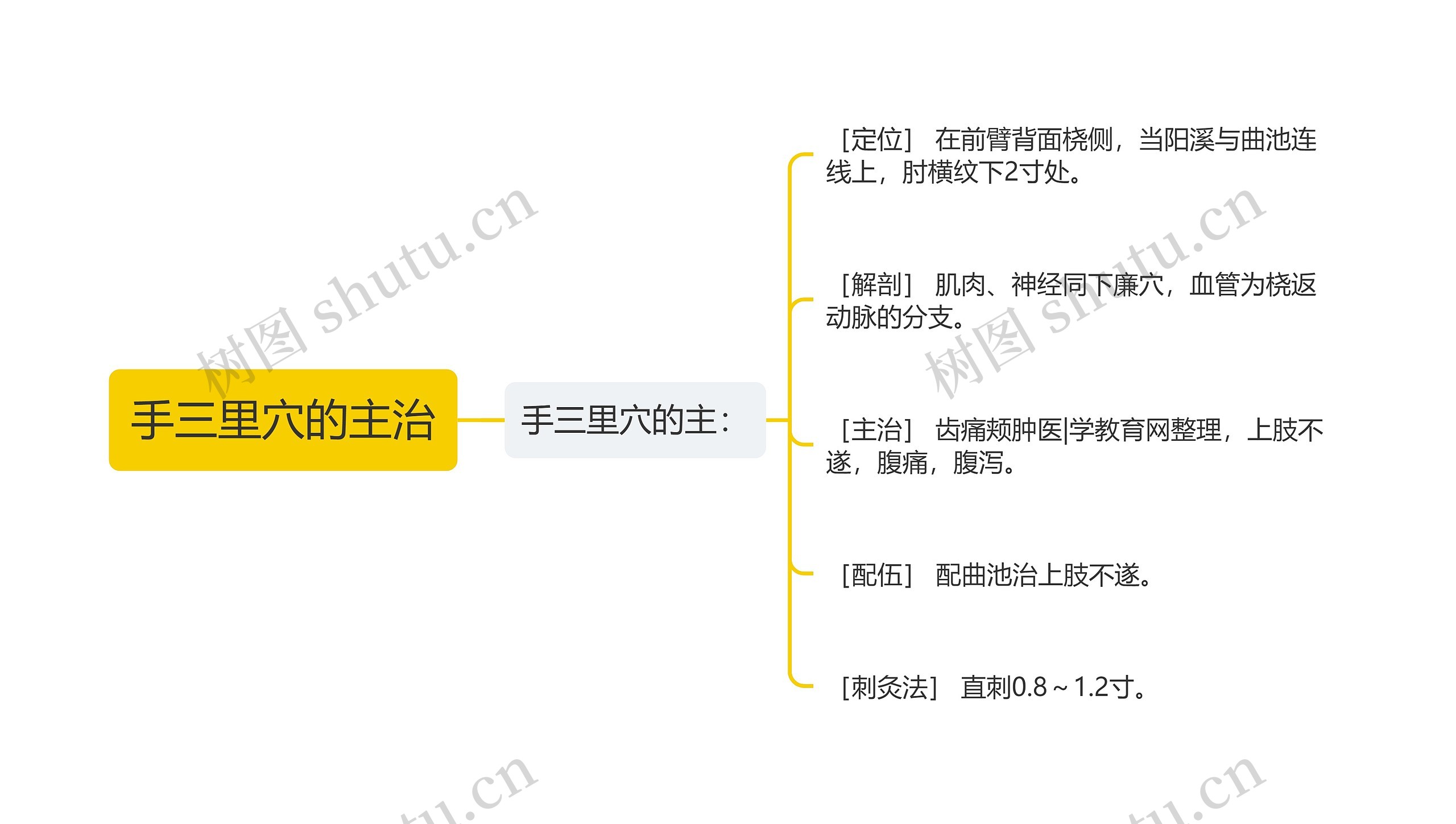 手三里穴的主治思维导图