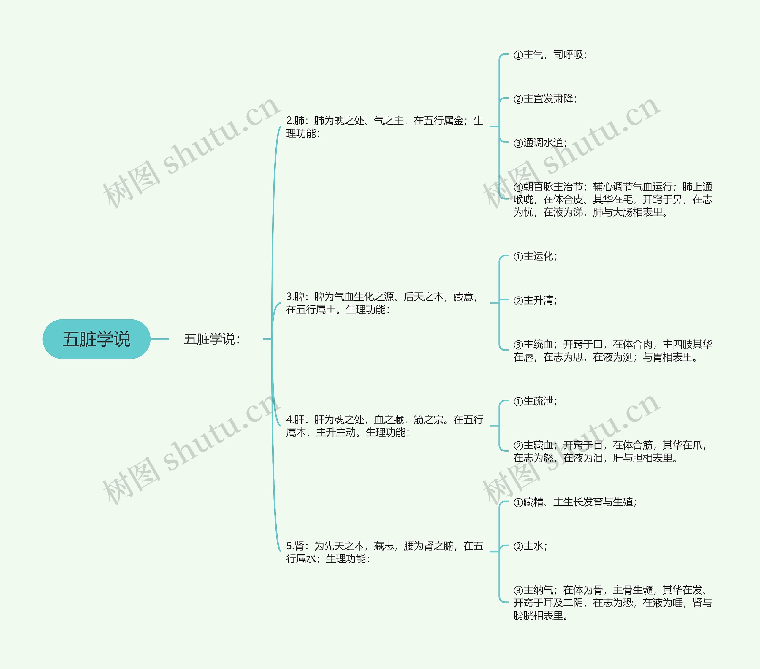 五脏学说思维导图