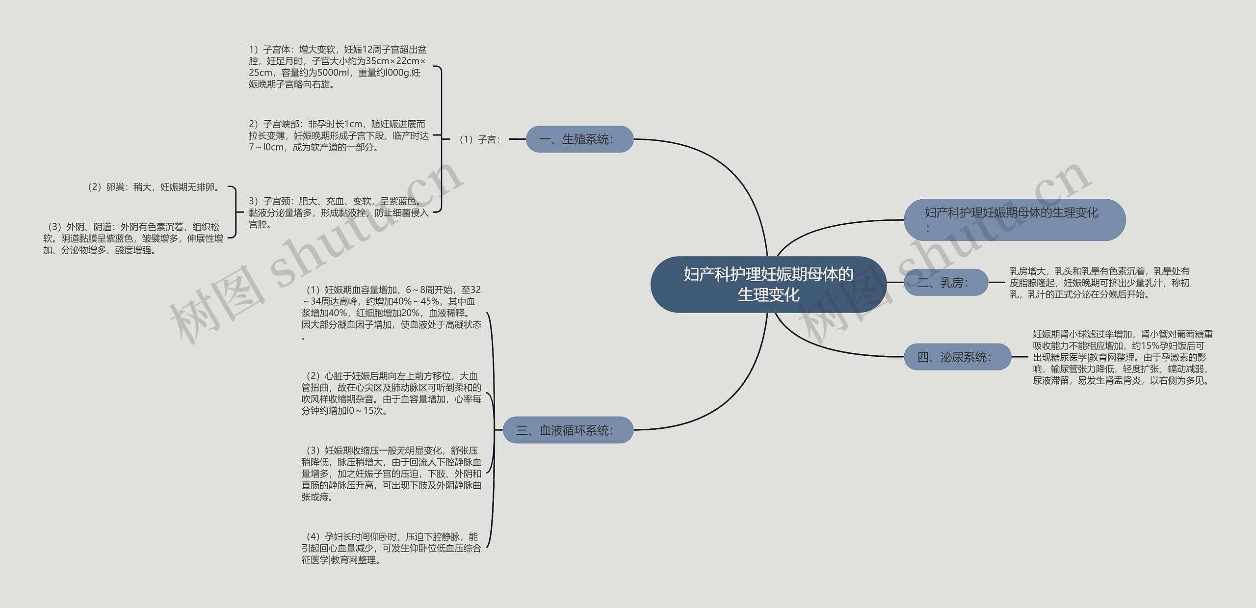 妇产科护理妊娠期母体的生理变化