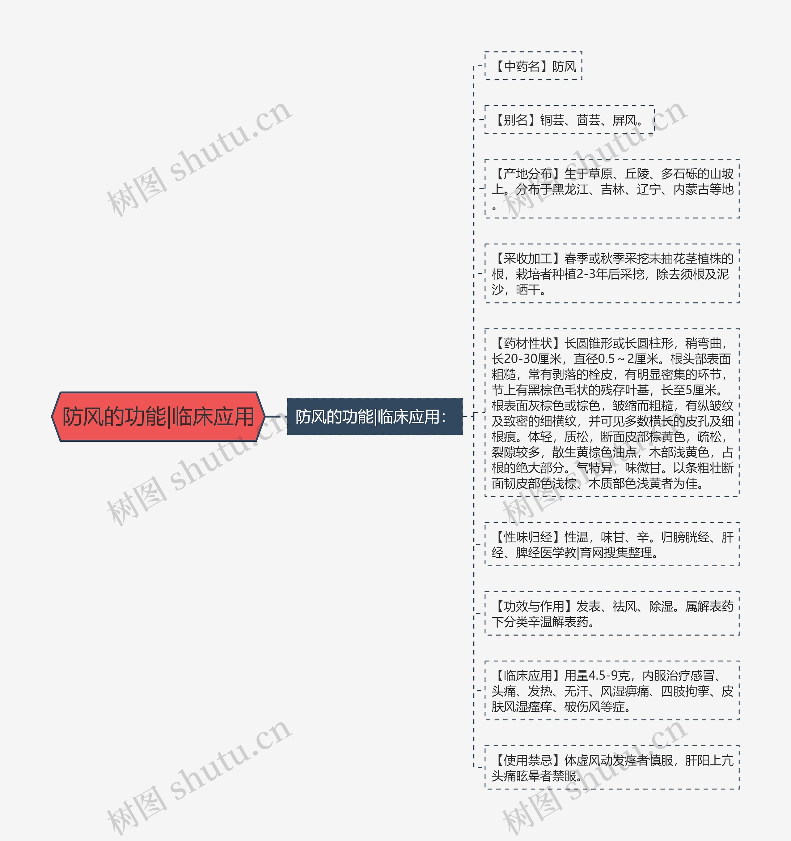 防风的功能|临床应用思维导图