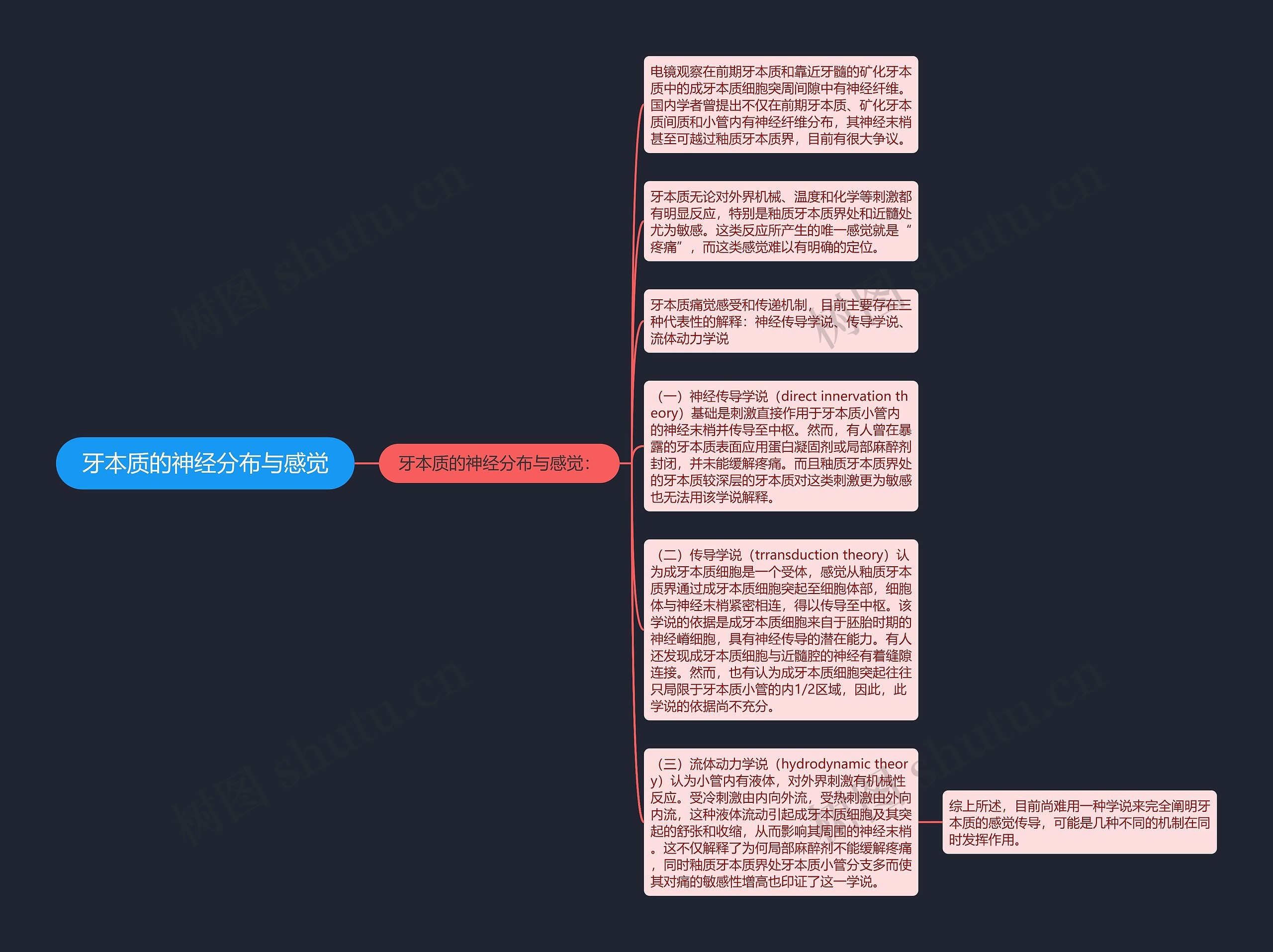 牙本质的神经分布与感觉思维导图