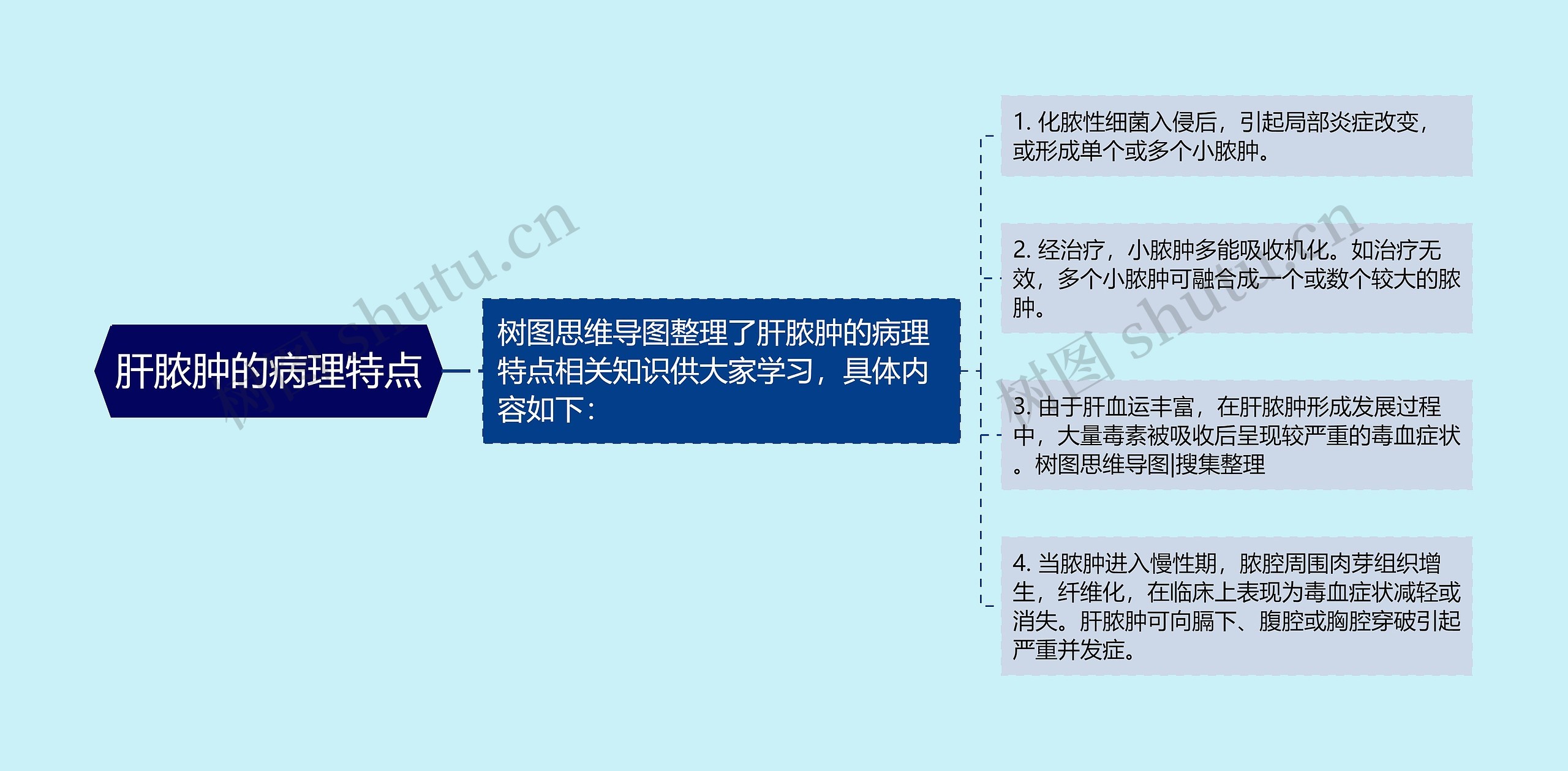 肝脓肿的病理特点 肝脓肿的病理特点