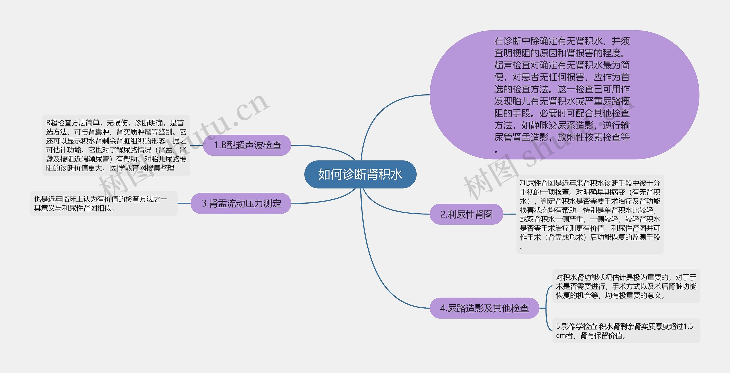 如何诊断肾积水思维导图