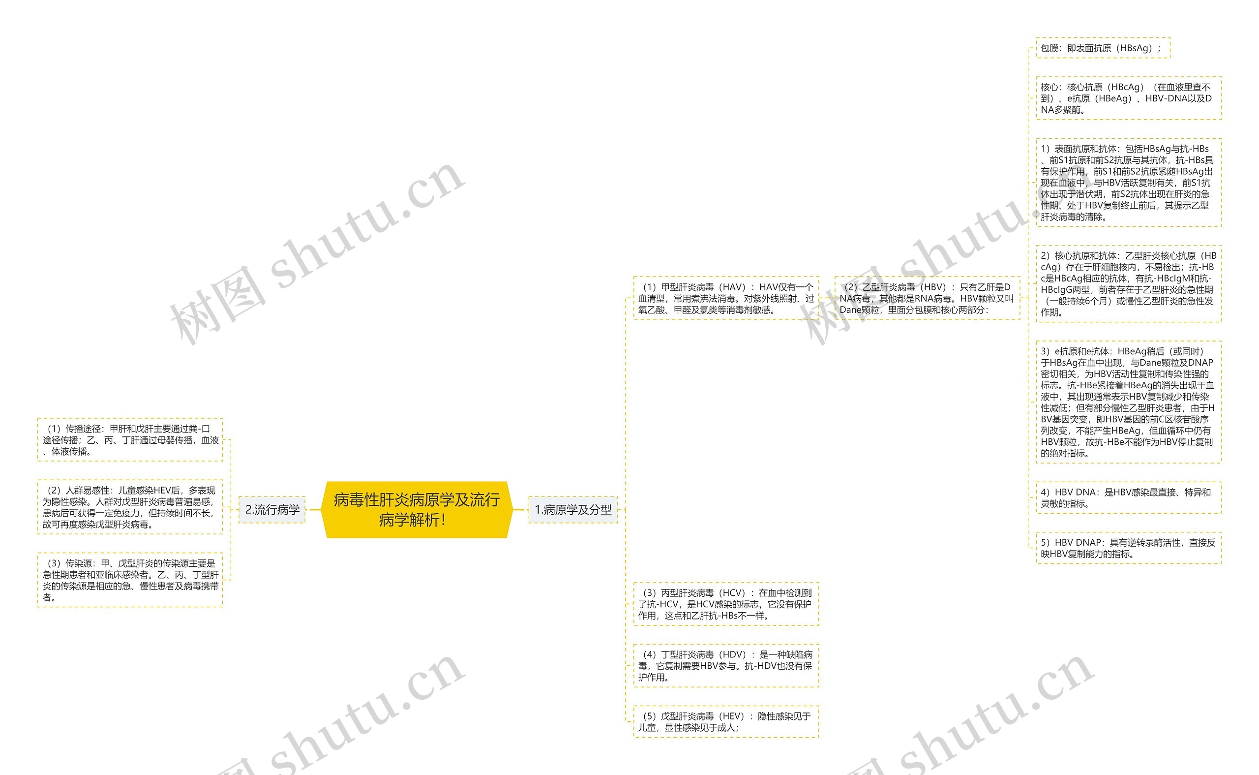 病毒性肝炎病原学及流行病学解析！思维导图
