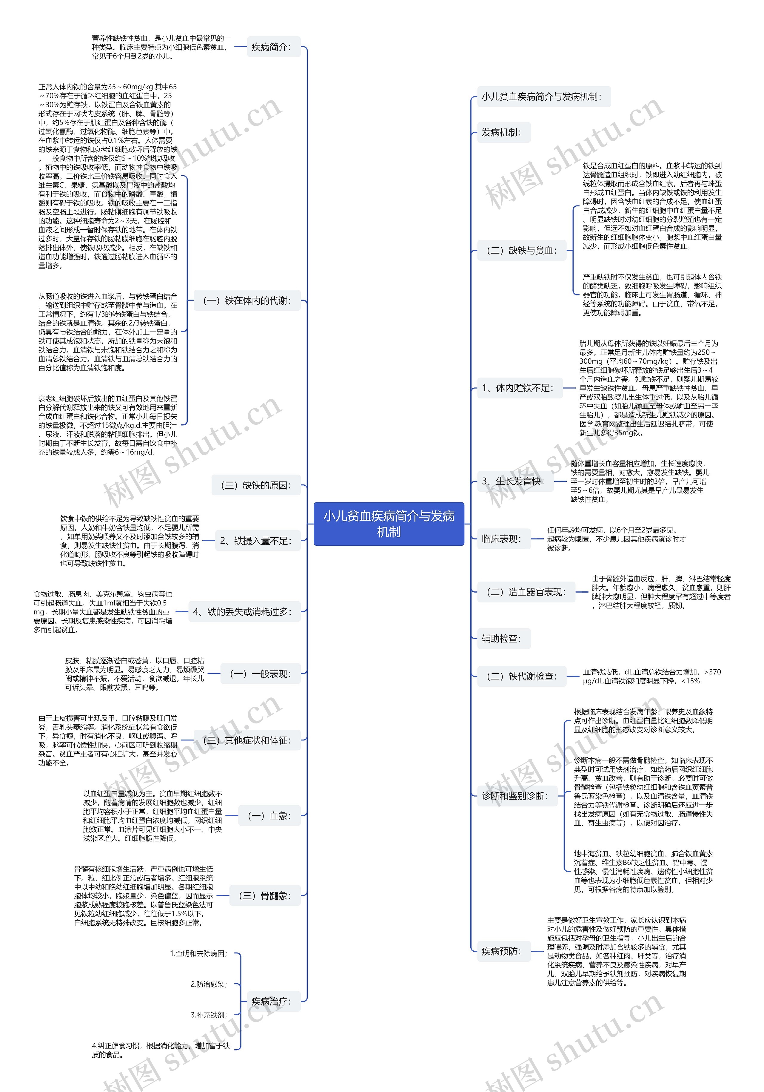 小儿贫血疾病简介与发病机制思维导图