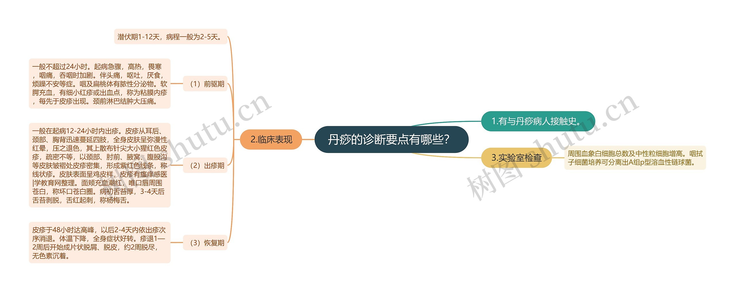 丹痧的诊断要点有哪些？思维导图