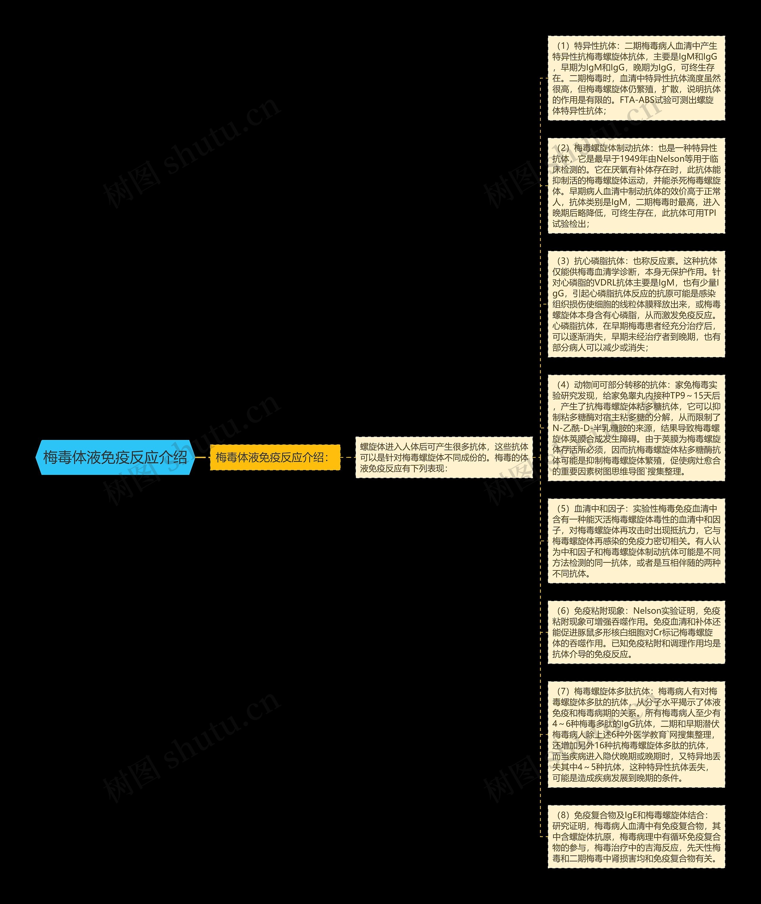 梅毒体液免疫反应介绍思维导图