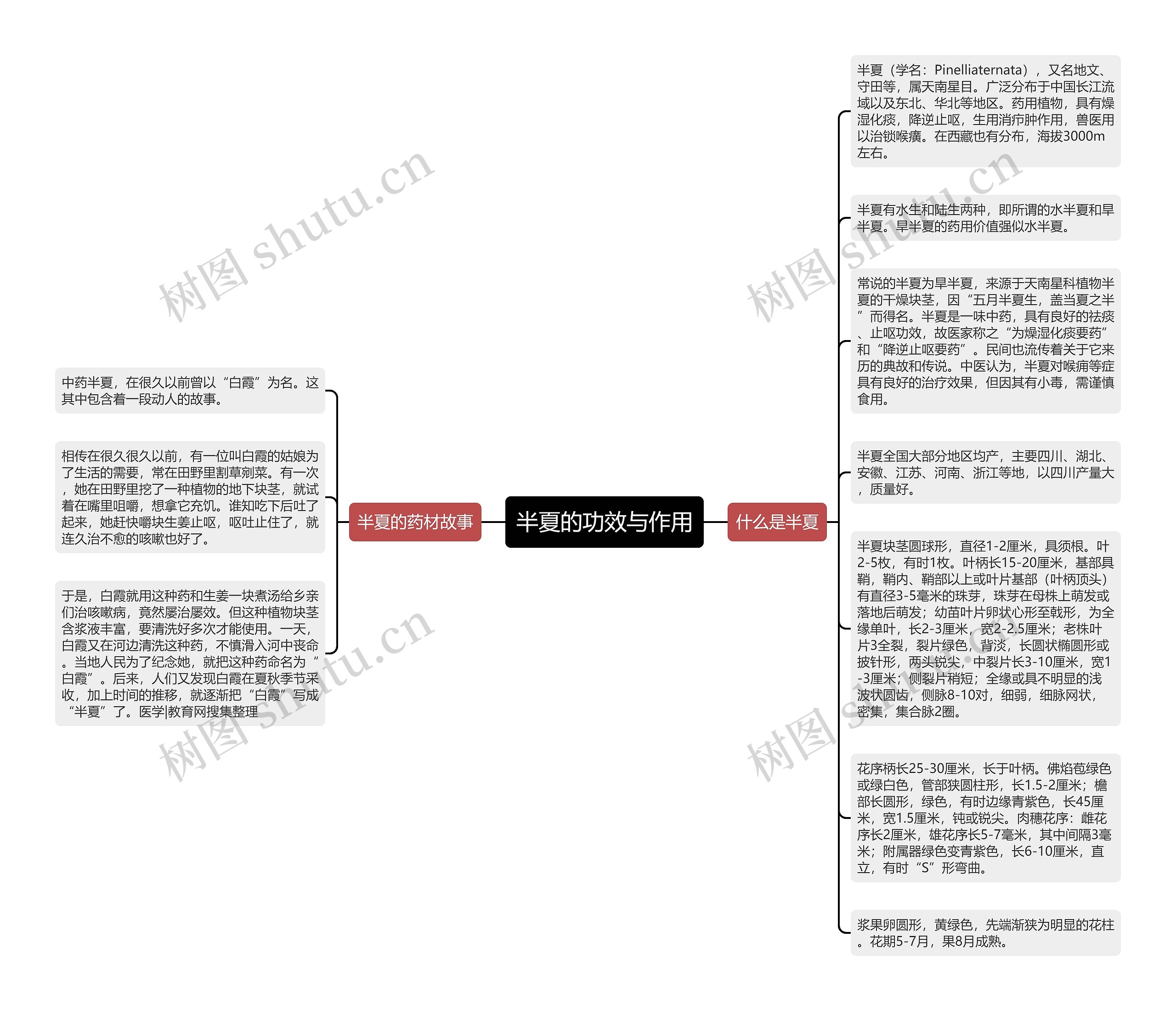 半夏的功效与作用思维导图