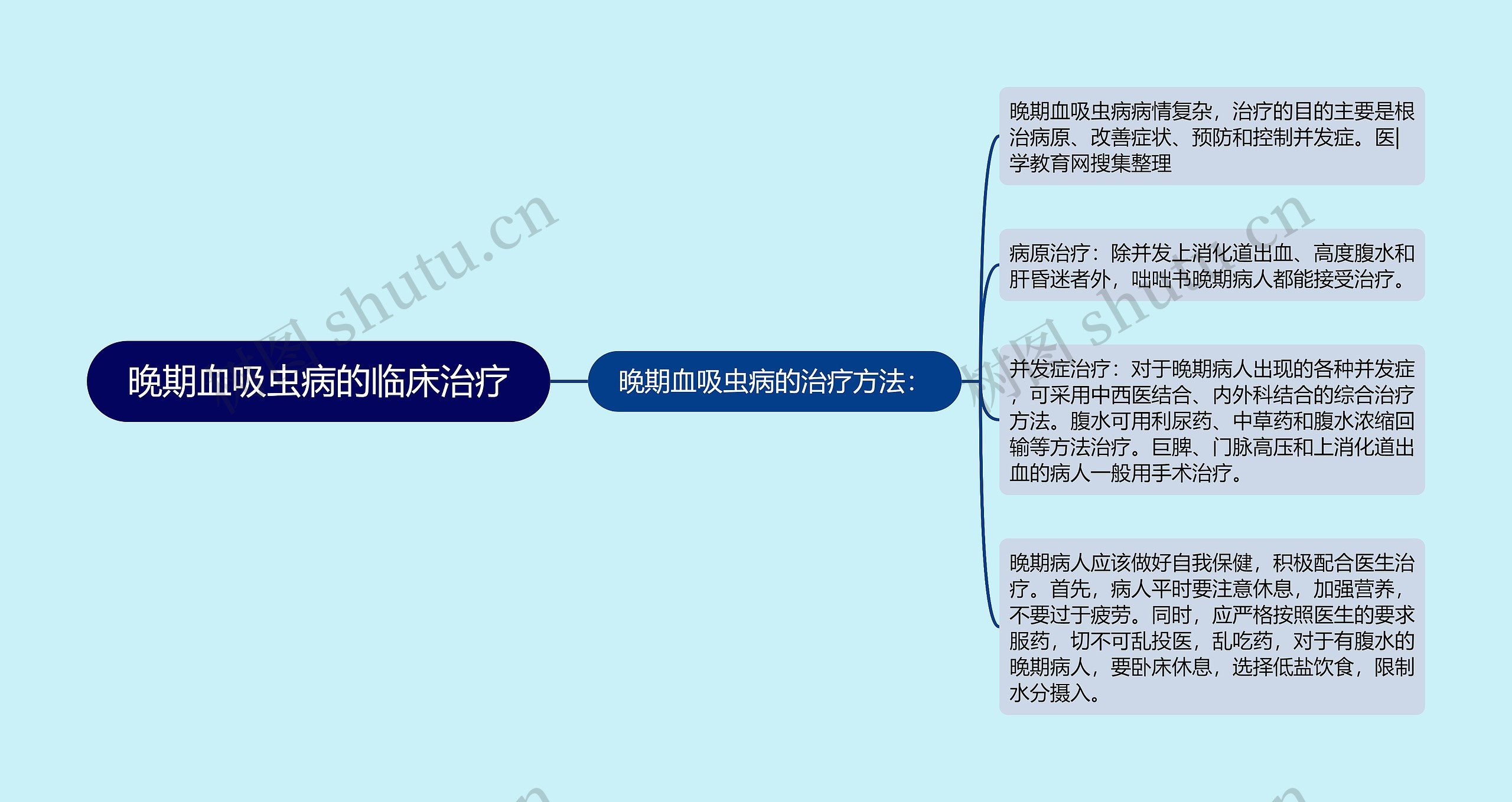 晚期血吸虫病的临床治疗思维导图