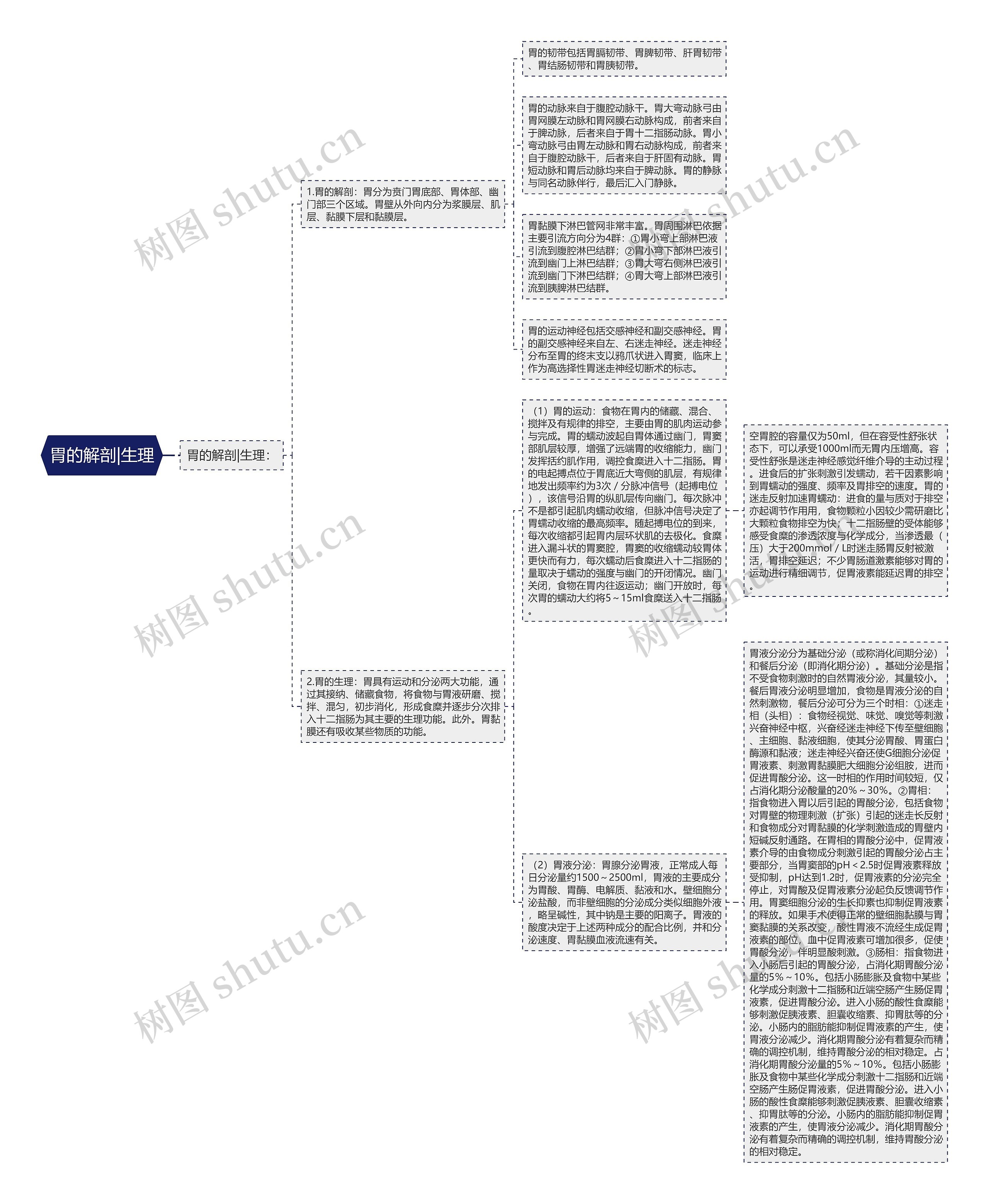 胃的解剖|生理 胃的解剖|生理