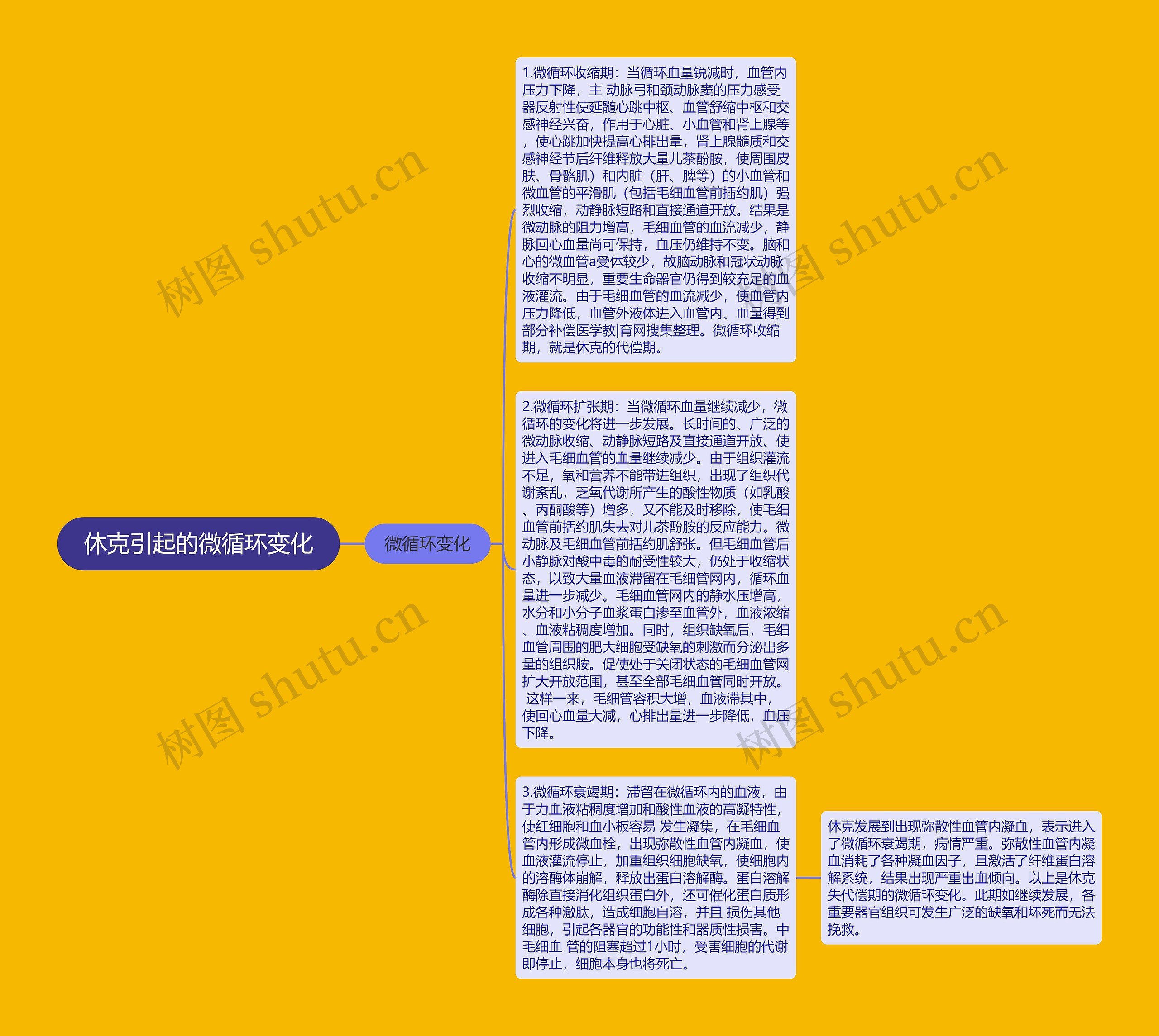 休克引起的微循环变化思维导图