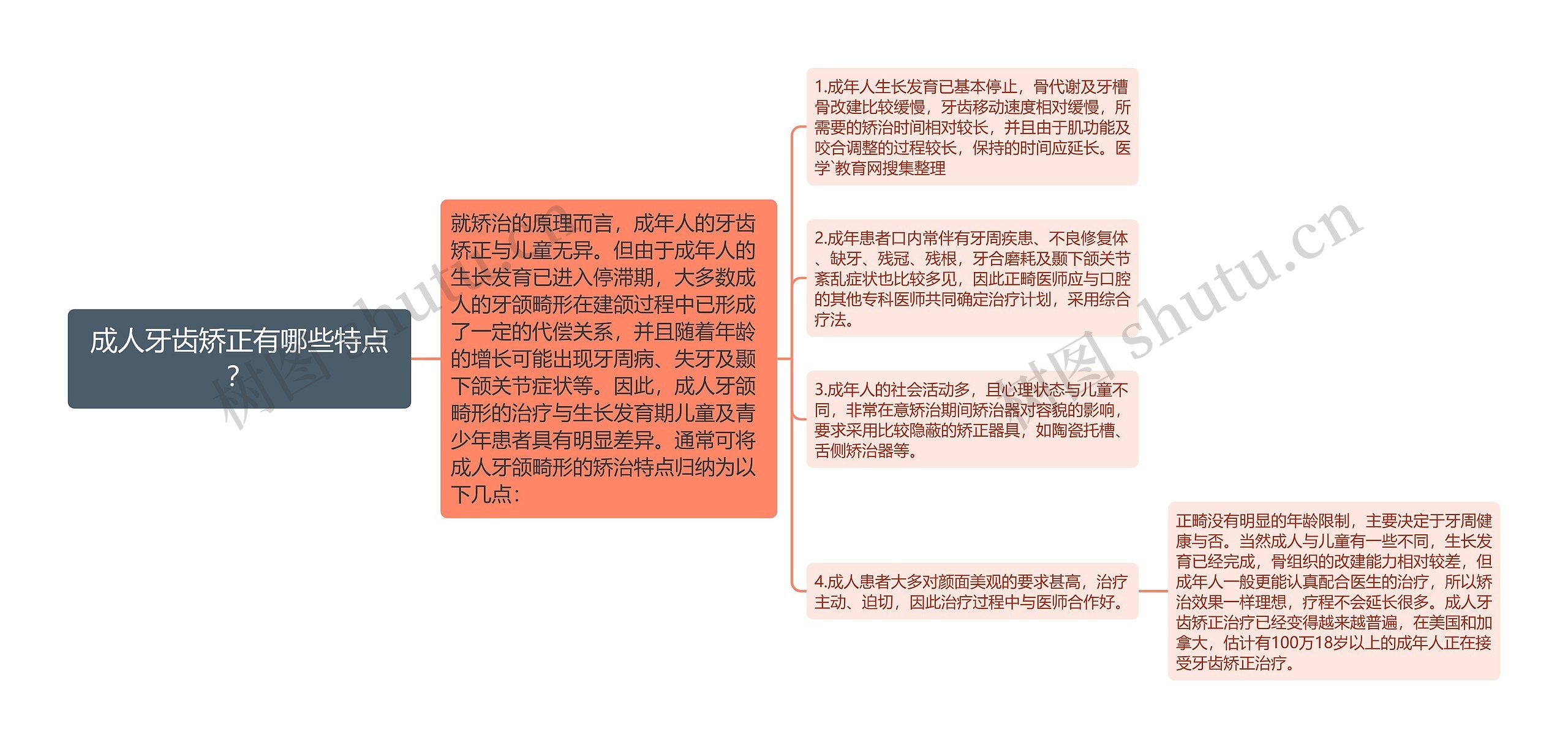 成人牙齿矫正有哪些特点？