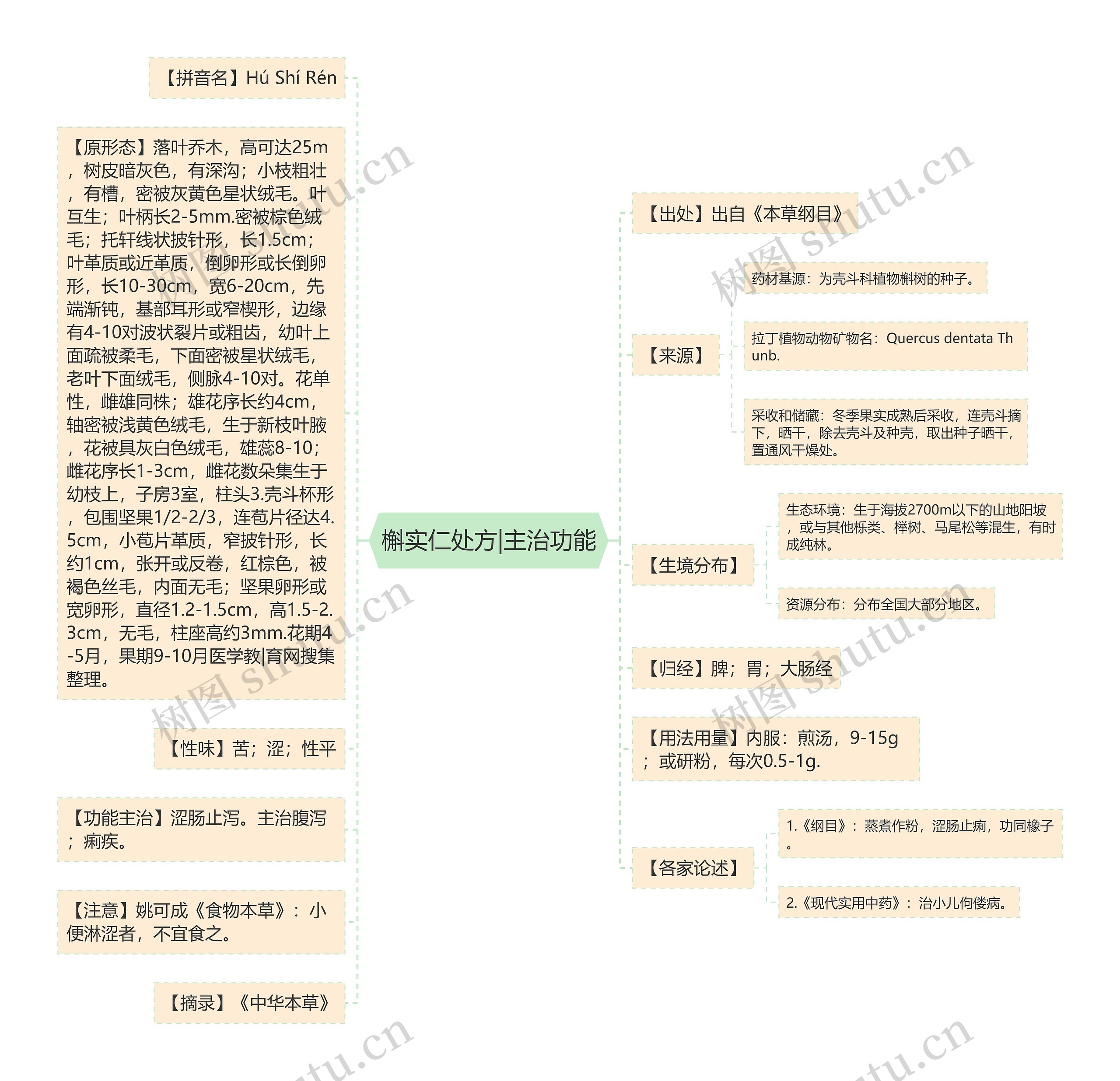 槲实仁处方|主治功能思维导图