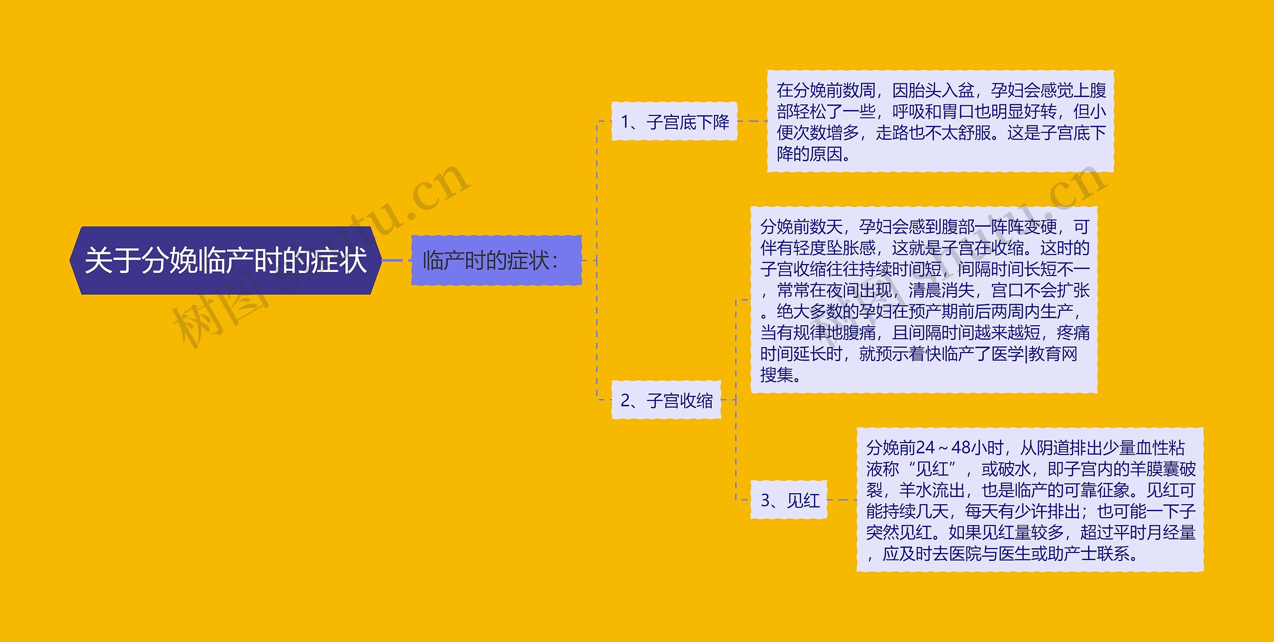 关于分娩临产时的症状思维导图