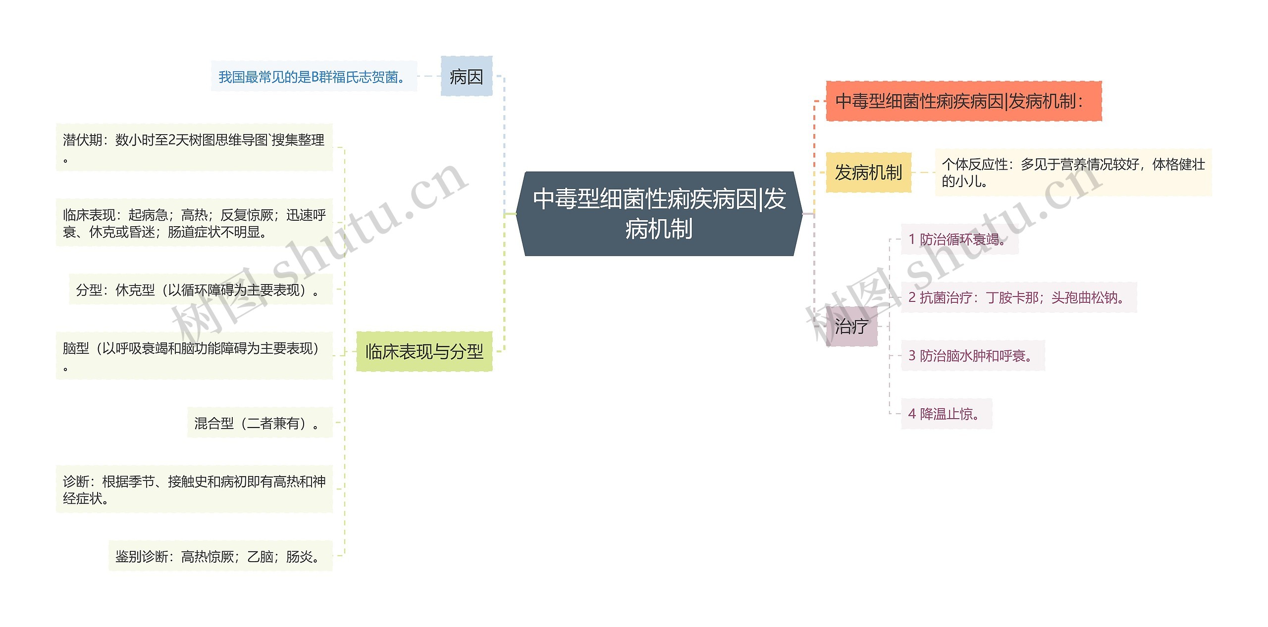 中毒型细菌性痢疾病因|发病机制思维导图