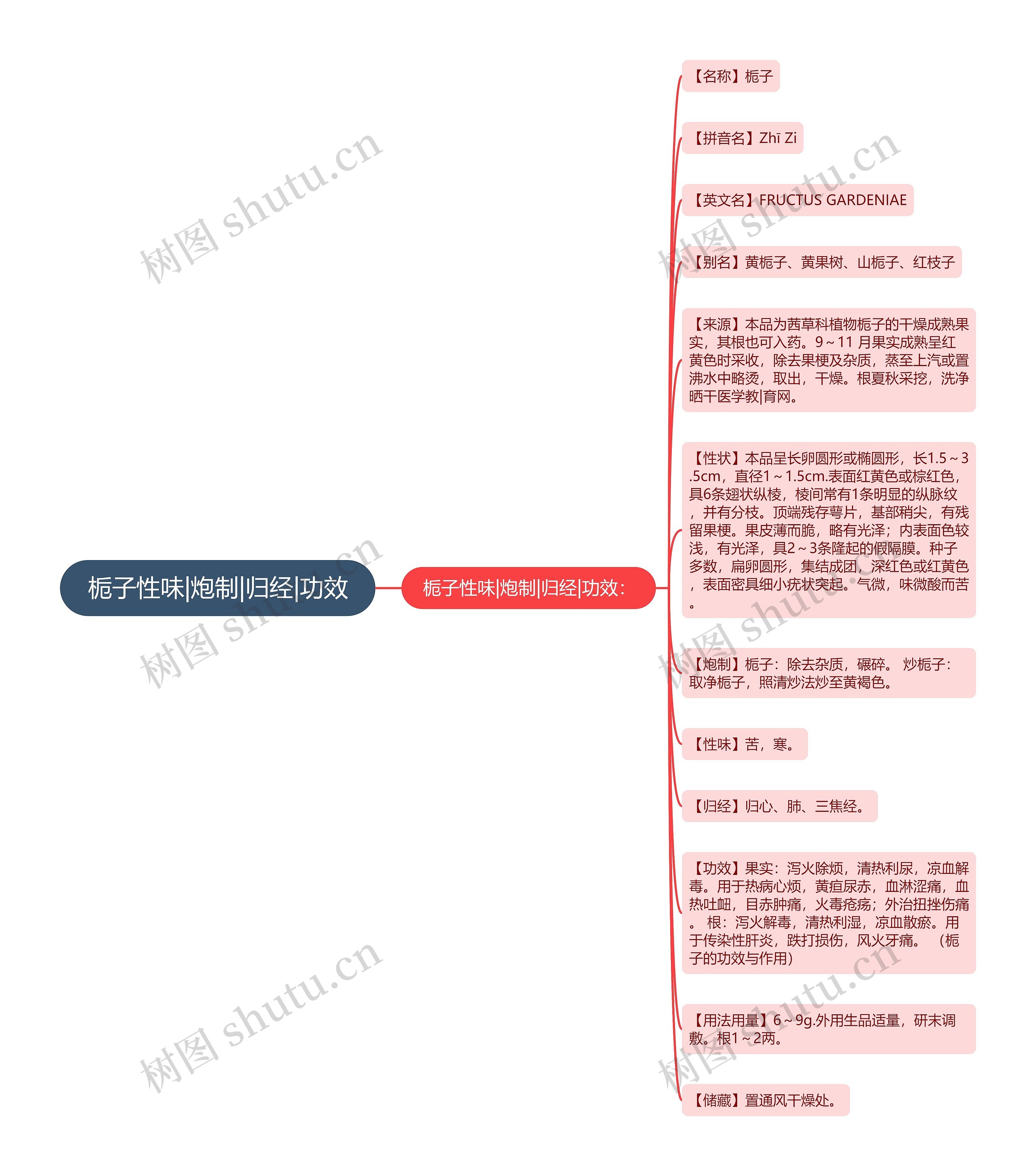 栀子性味|炮制|归经|功效 栀子性味|炮制|归经|功效