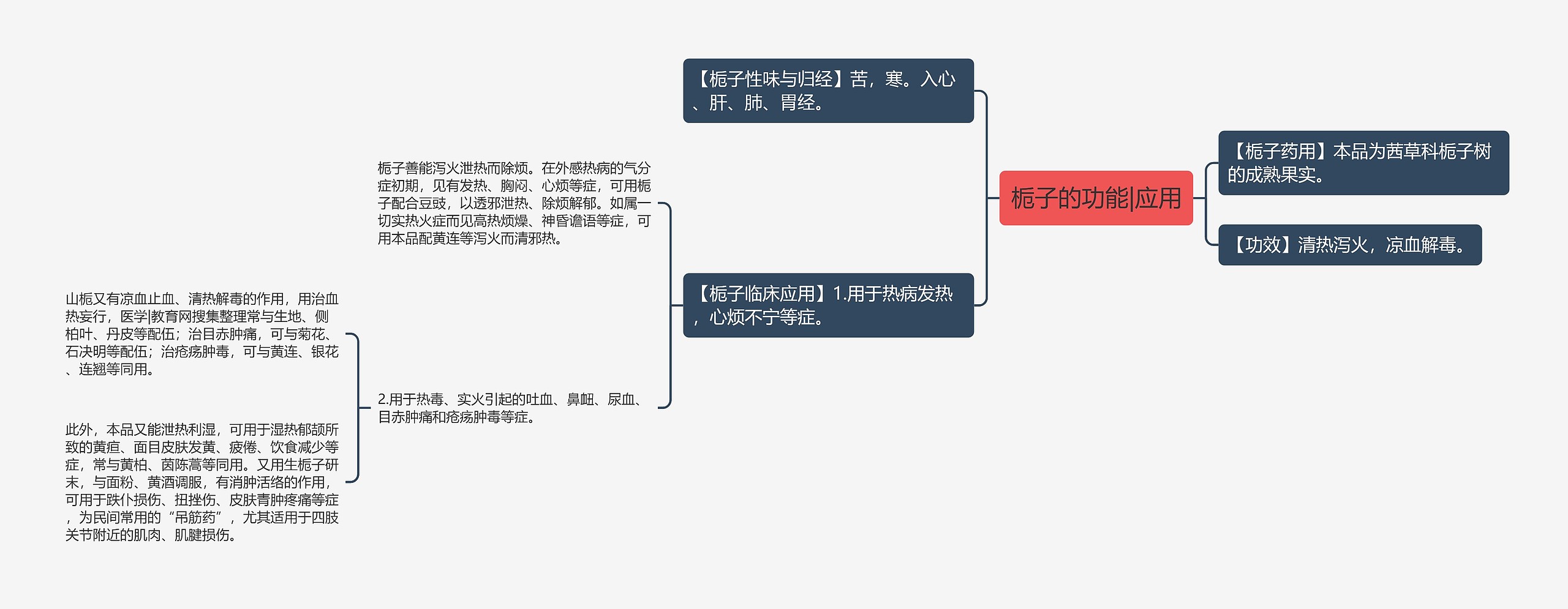 栀子的功能|应用思维导图