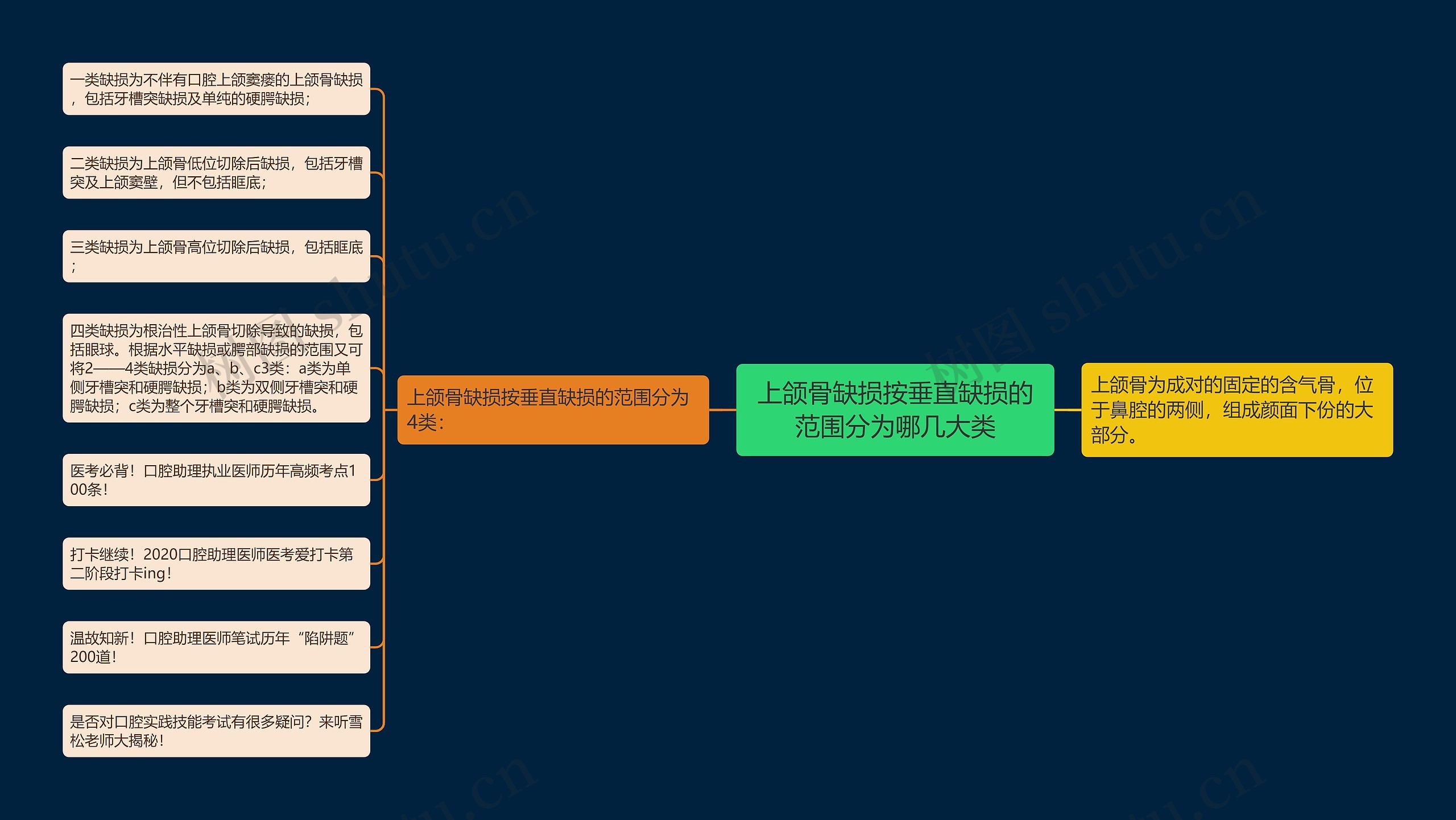 上颌骨缺损按垂直缺损的范围分为哪几大类思维导图