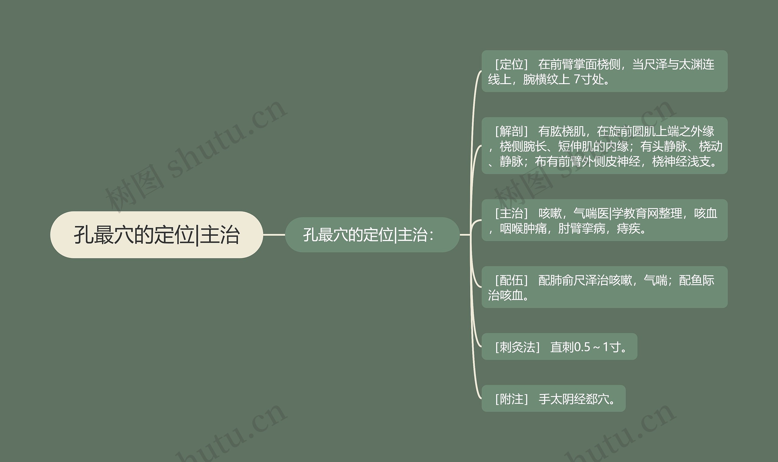 孔最穴的定位|主治