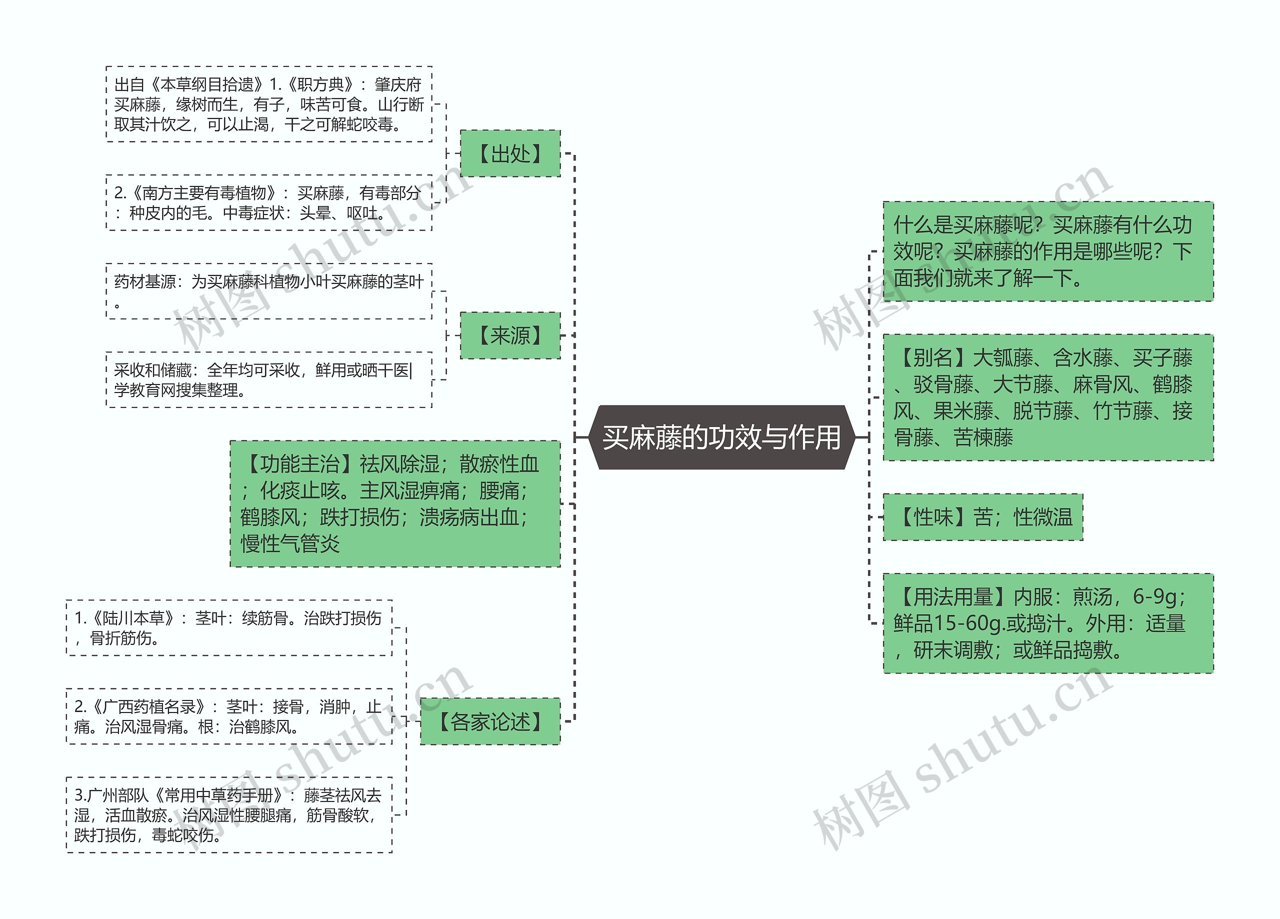 买麻藤的功效与作用