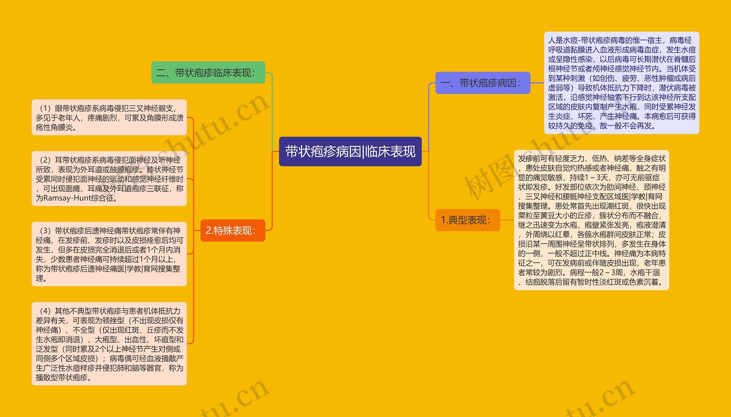 带状疱疹病因|临床表现思维导图