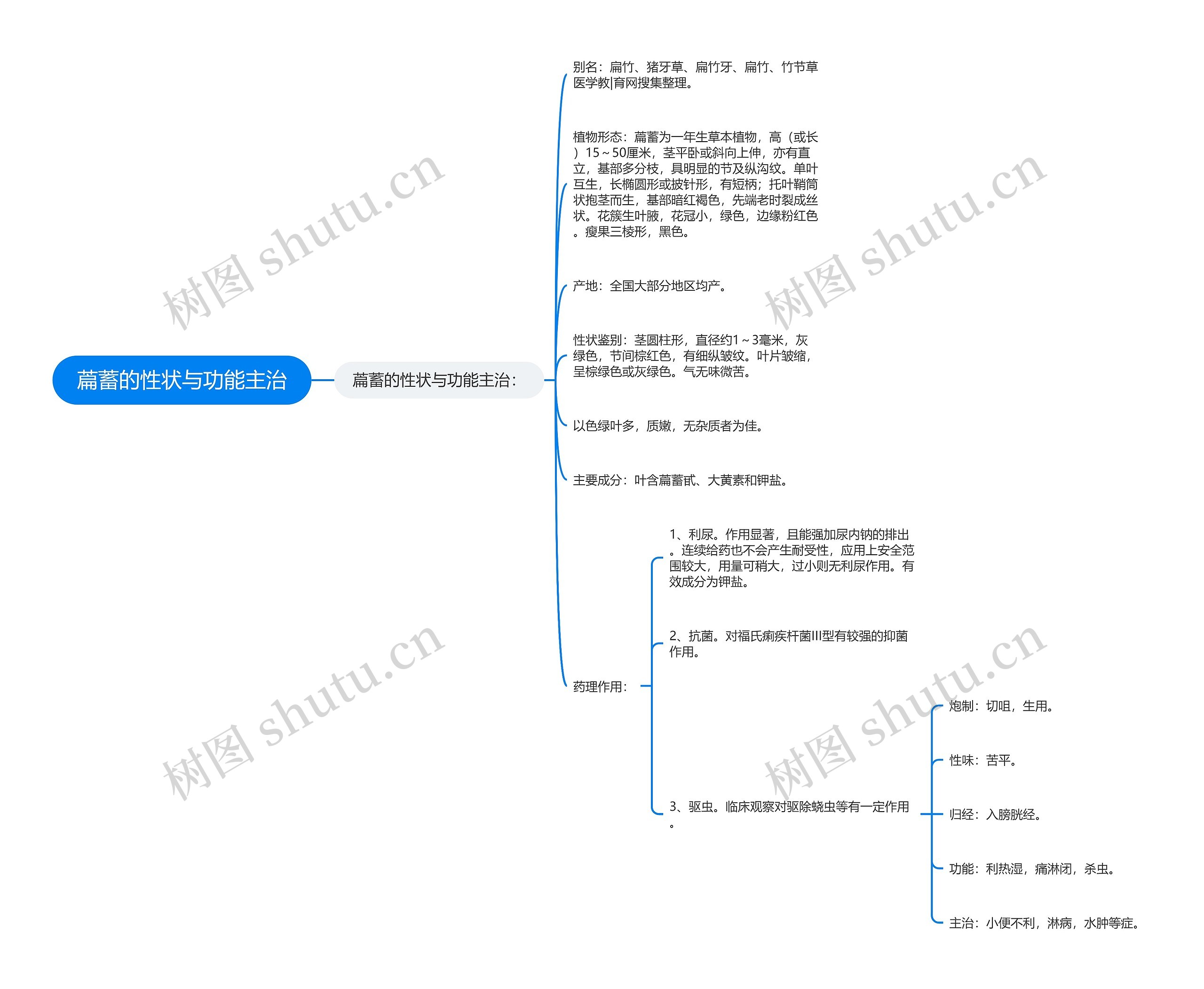 萹蓄的性状与功能主治思维导图
