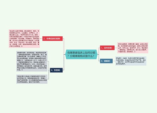 伤寒患者临床上如何分期？分期表现特点是什么？