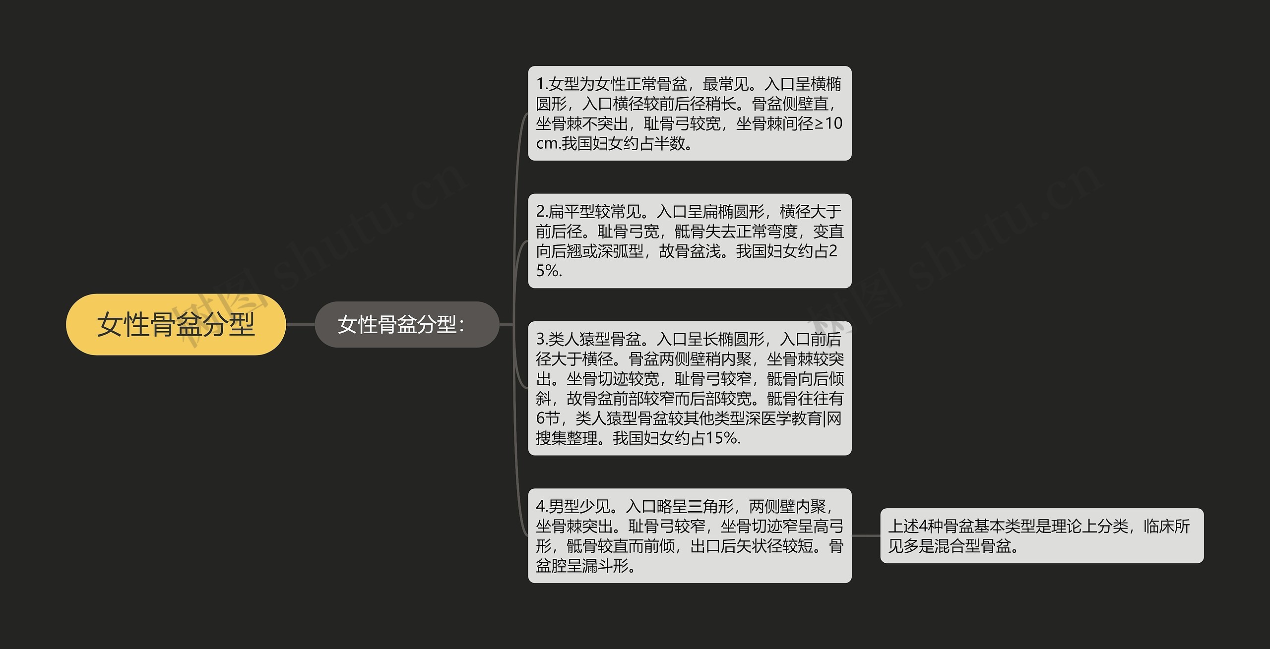 女性骨盆分型 女性骨盆分型