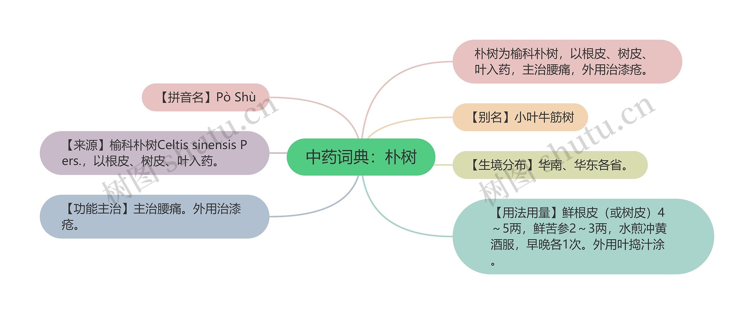 中药词典：朴树