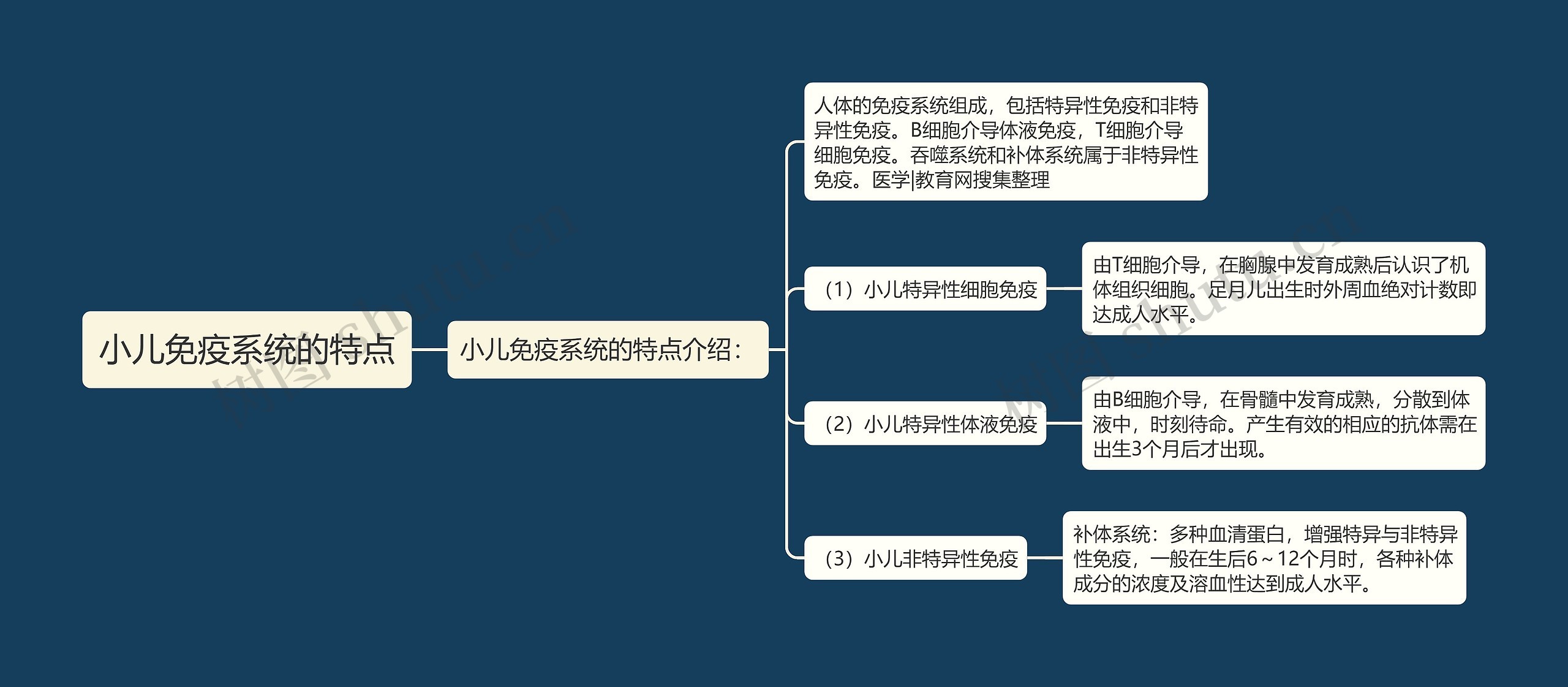 小儿免疫系统的特点