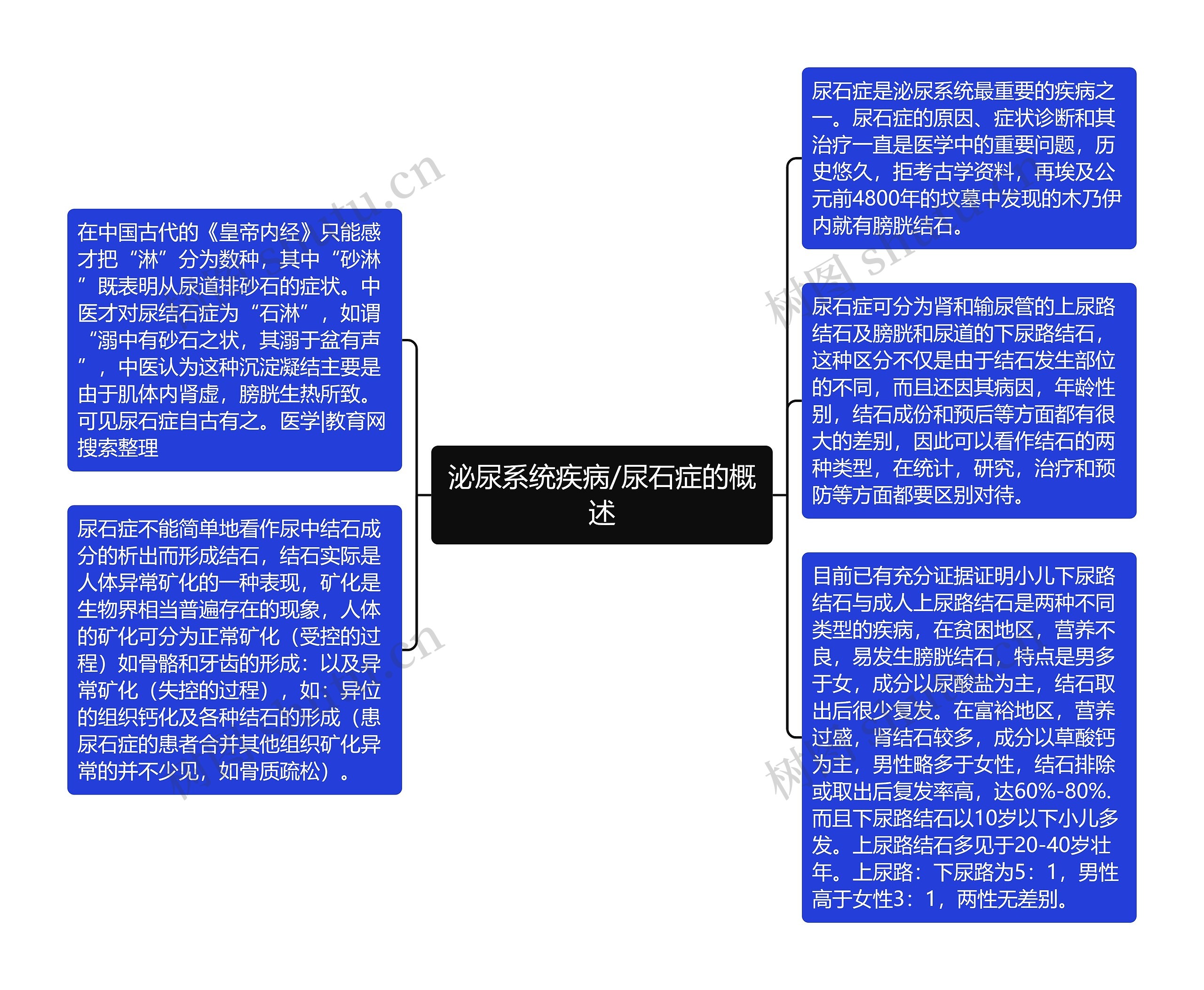 泌尿系统疾病/尿石症的概述