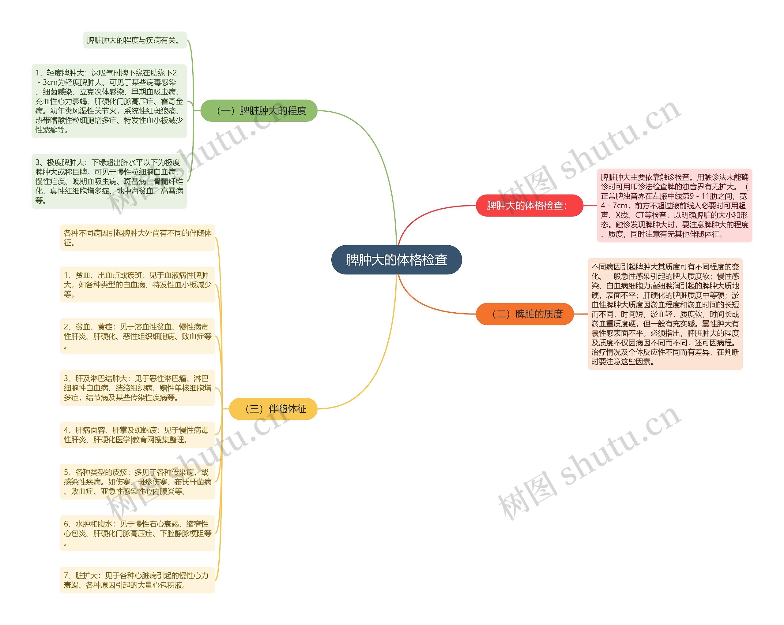脾肿大的体格检查思维导图