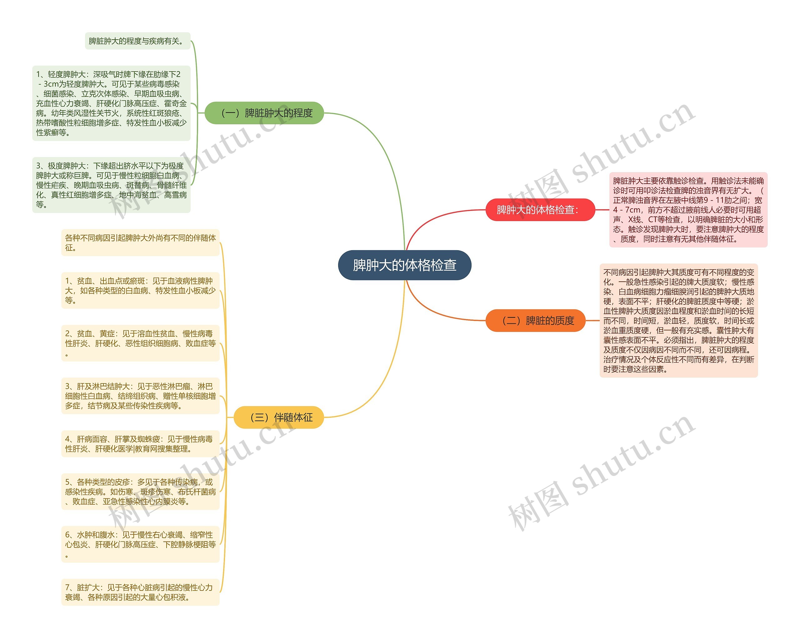脾肿大的体格检查 脾肿大的体格检查