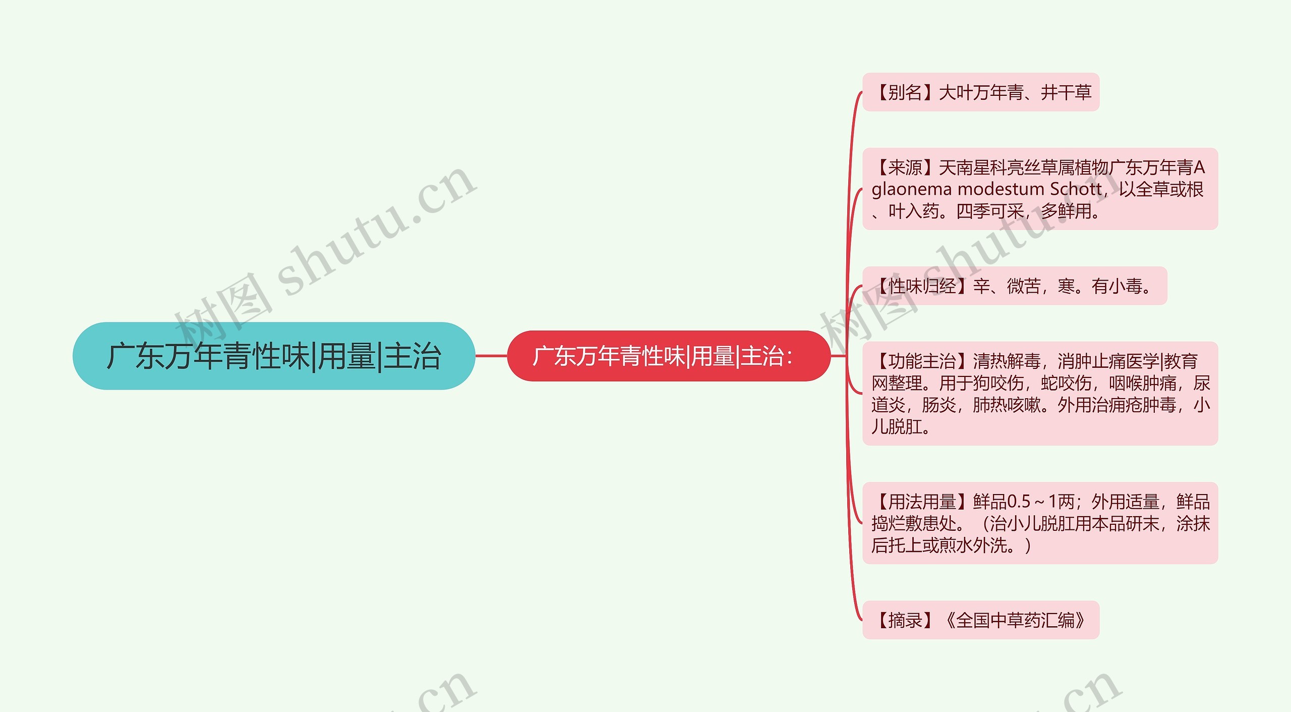 广东万年青性味|用量|主治思维导图