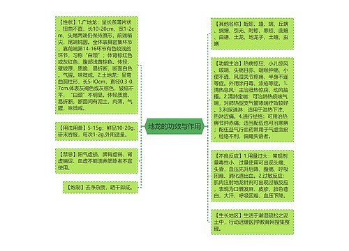 地龙的功效与作用