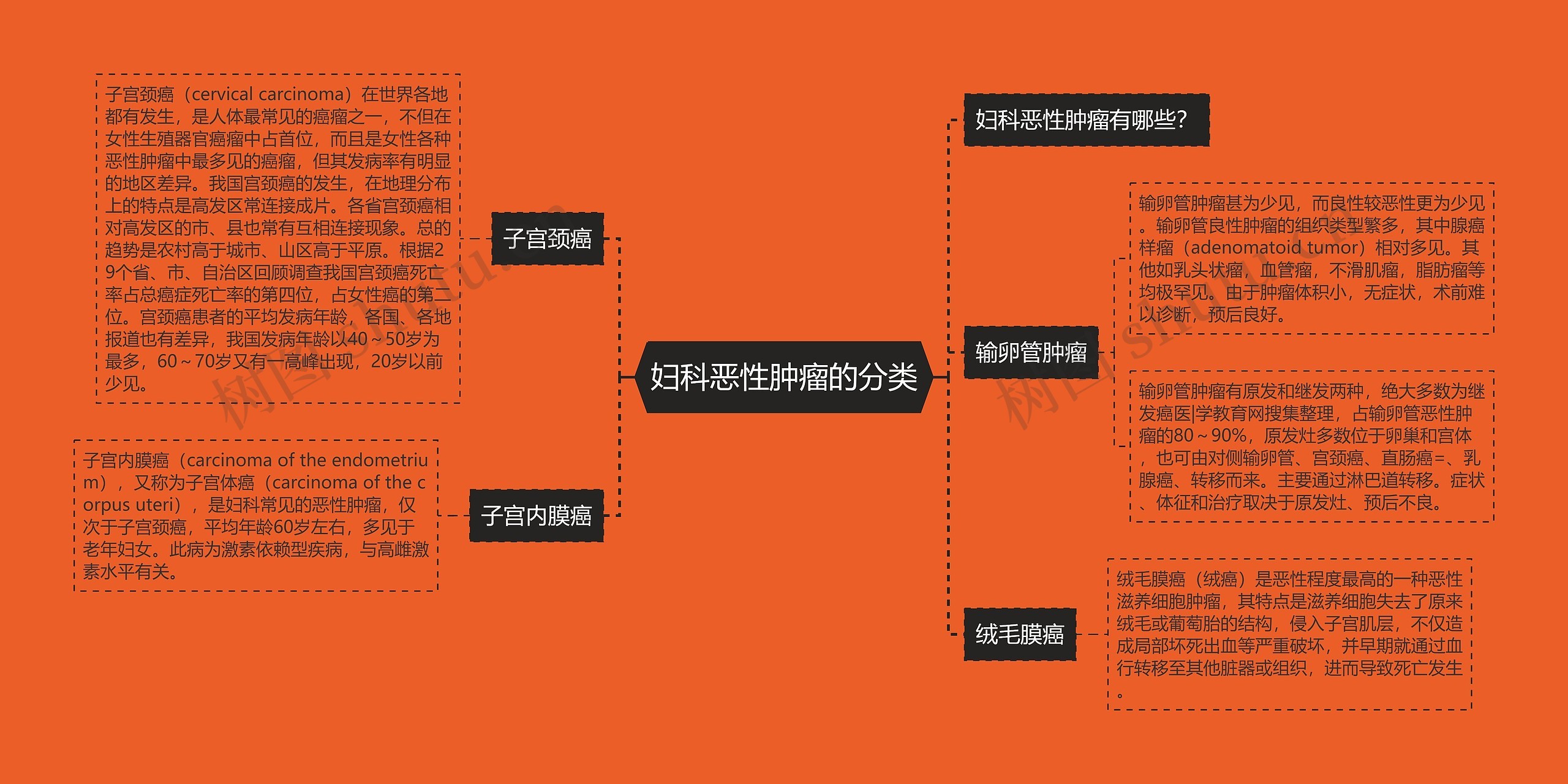 妇科恶性肿瘤的分类 妇科恶性肿瘤的分类