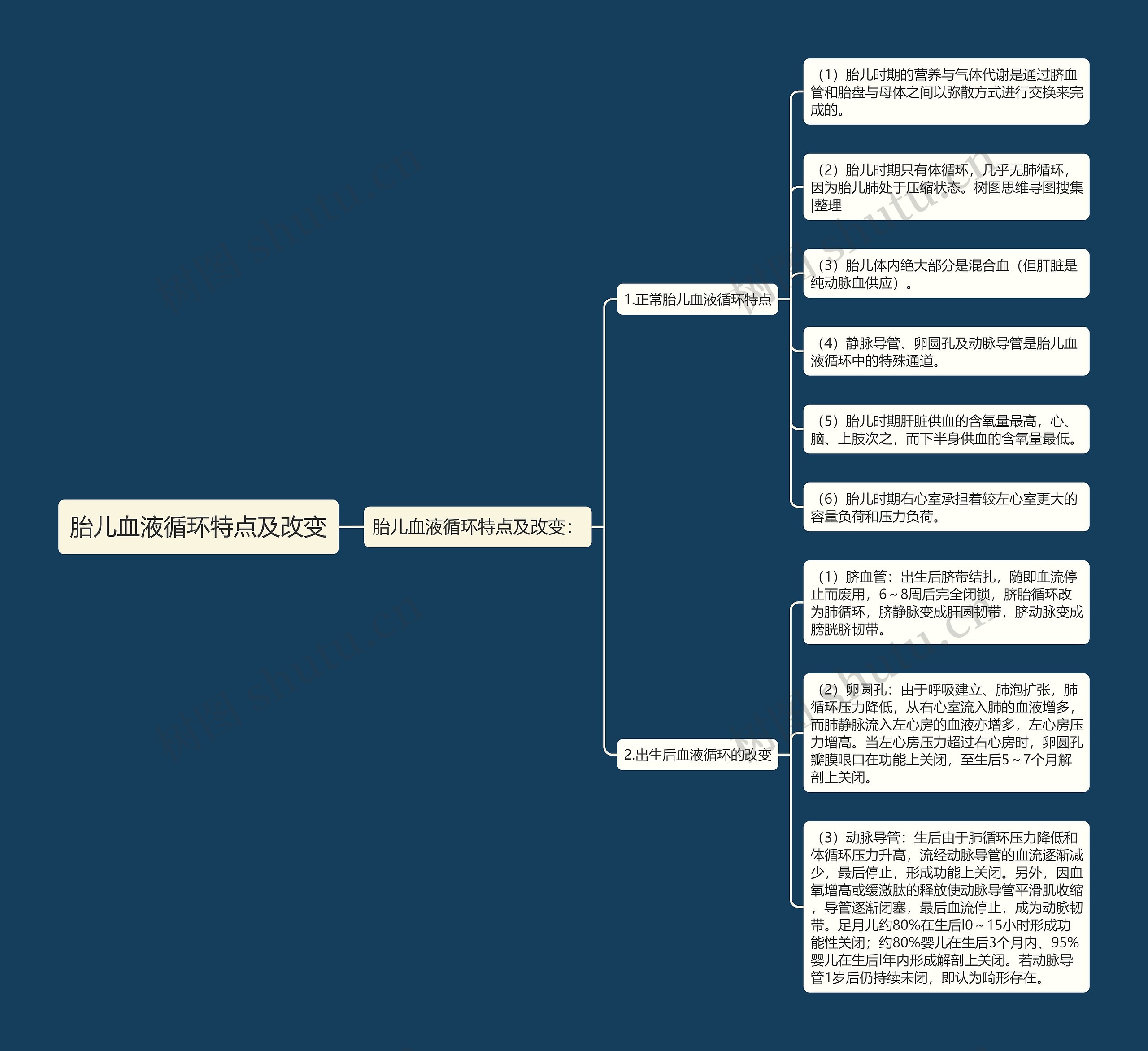 胎儿血液循环特点及改变思维导图