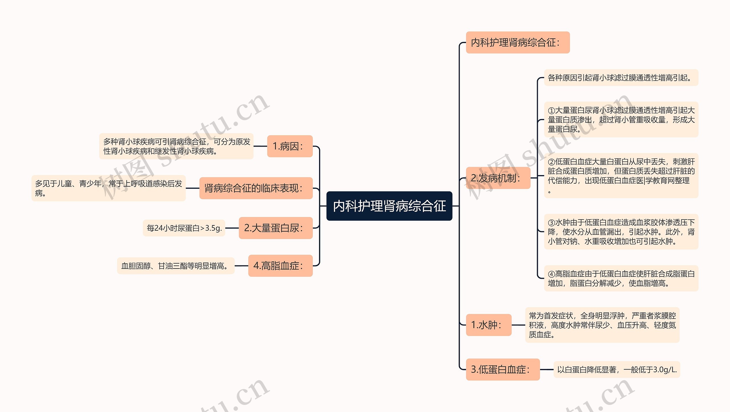 内科护理肾病综合征思维导图