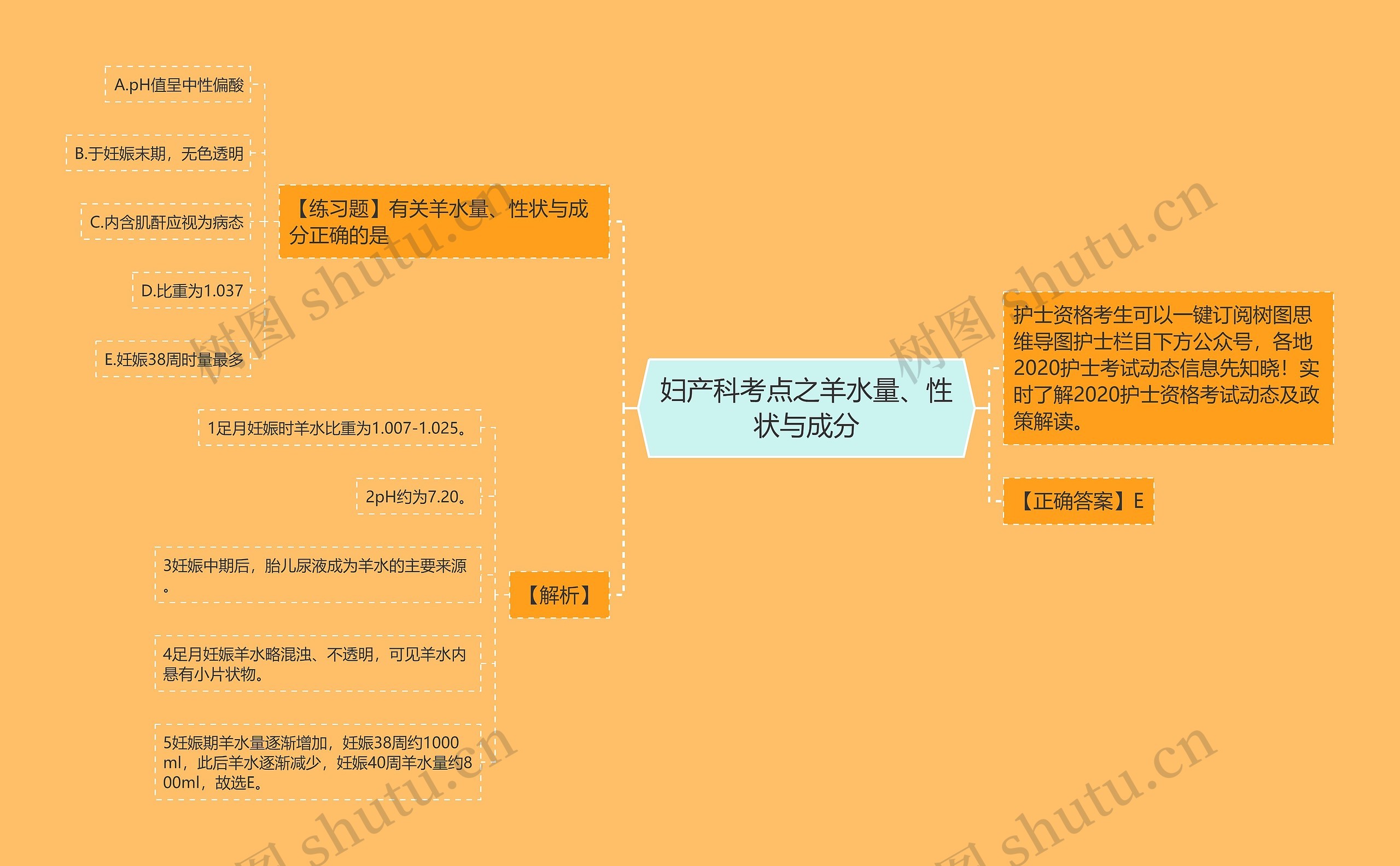 妇产科考点之羊水量、性状与成分思维导图